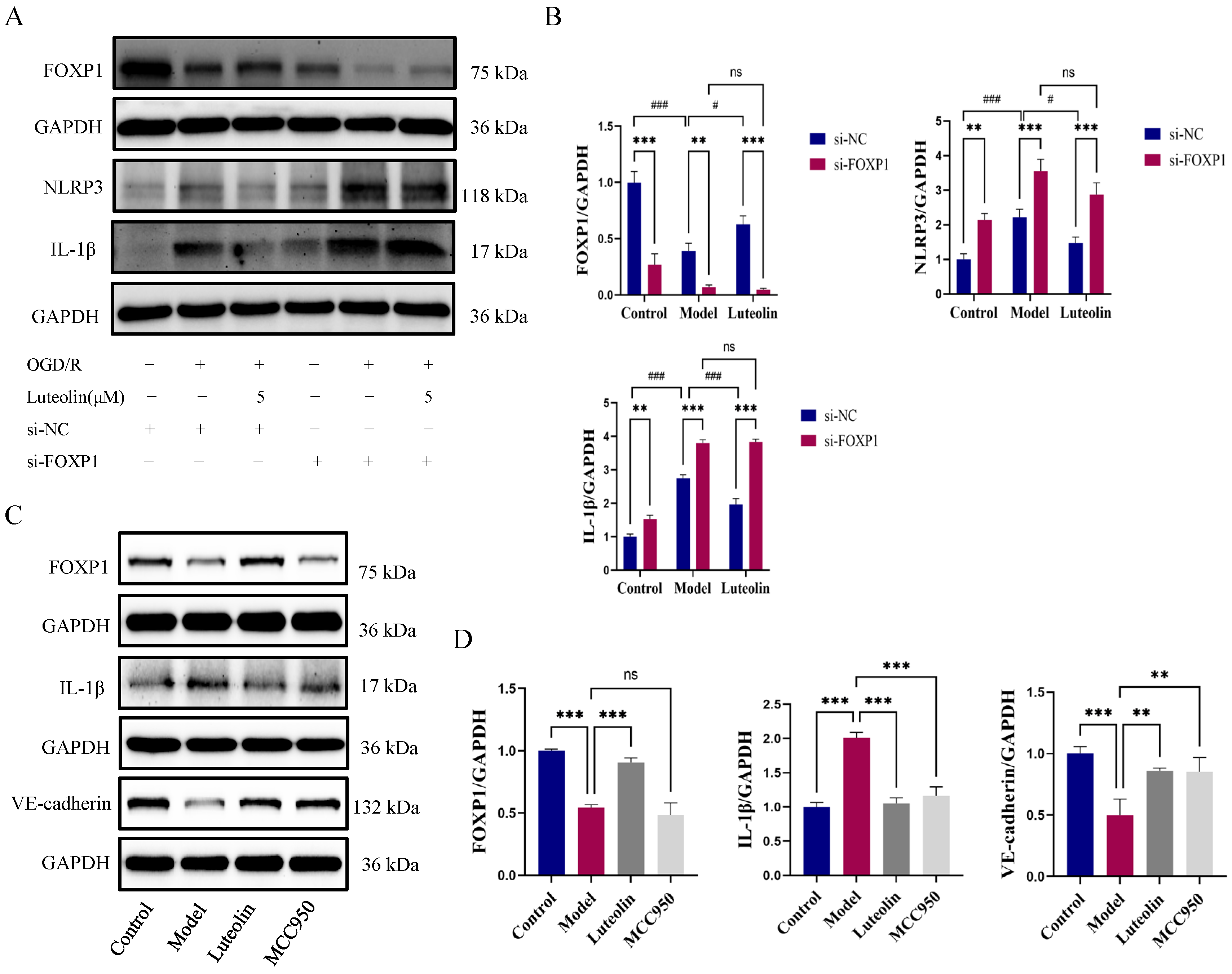 Ijms 27 00874 g006 Ijms 27 00874 g006