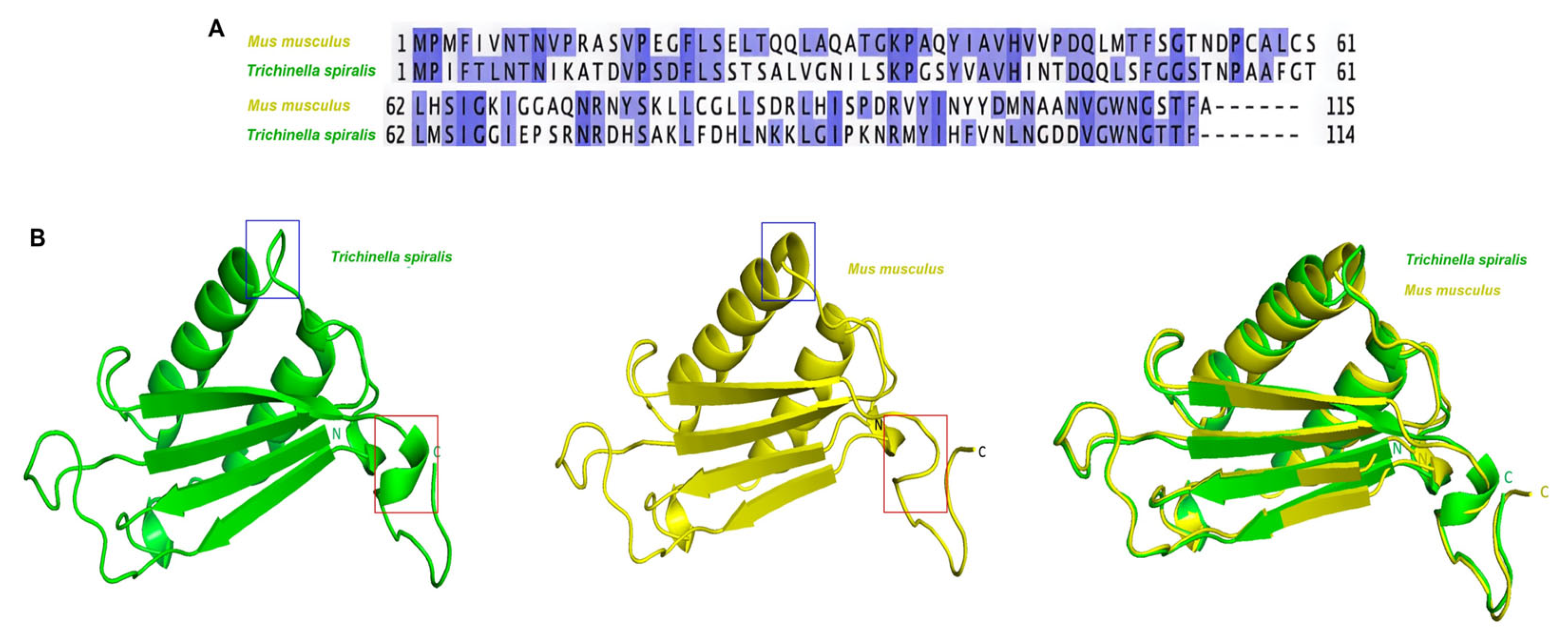Ijms 27 00887 g001 Ijms 27 00887 g001