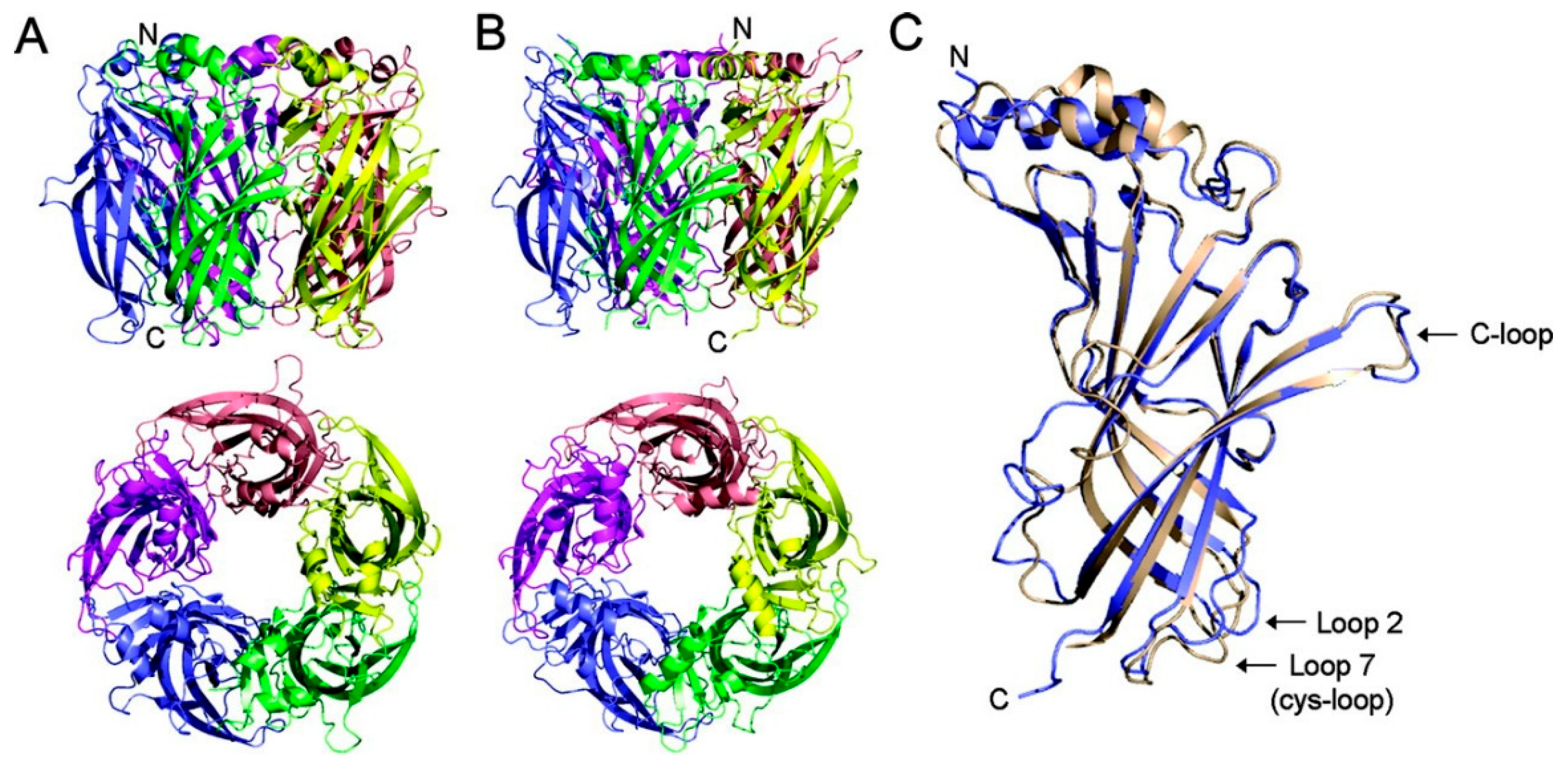 Ijms 27 01091 g002 Ijms 27 01091 g002