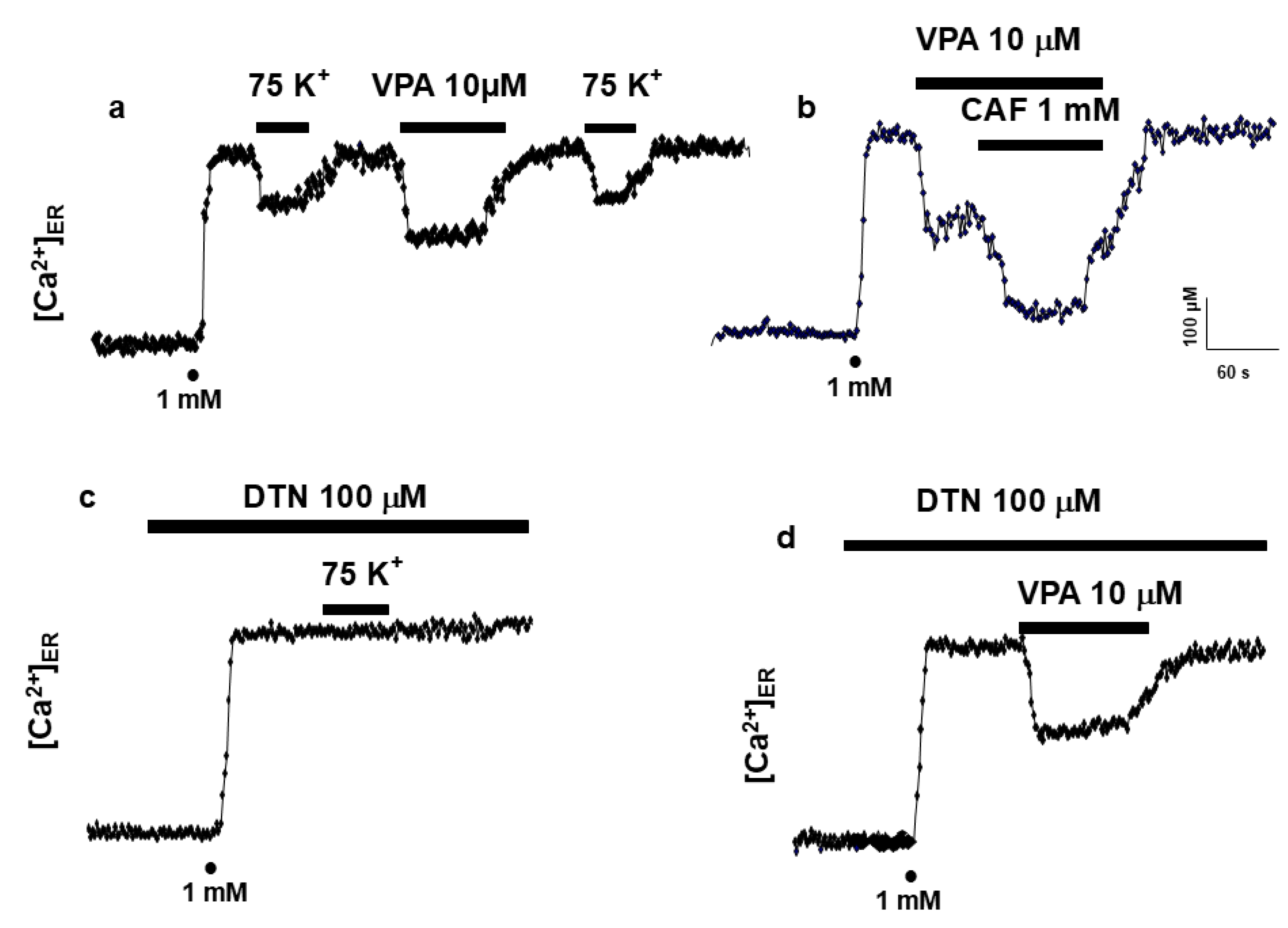 Ijms 27 01176 g005 Ijms 27 01176 g005
