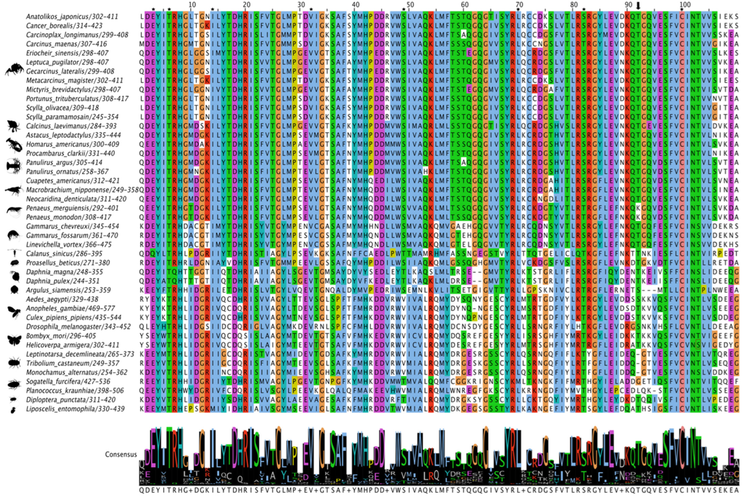 Ijms 27 01215 g005