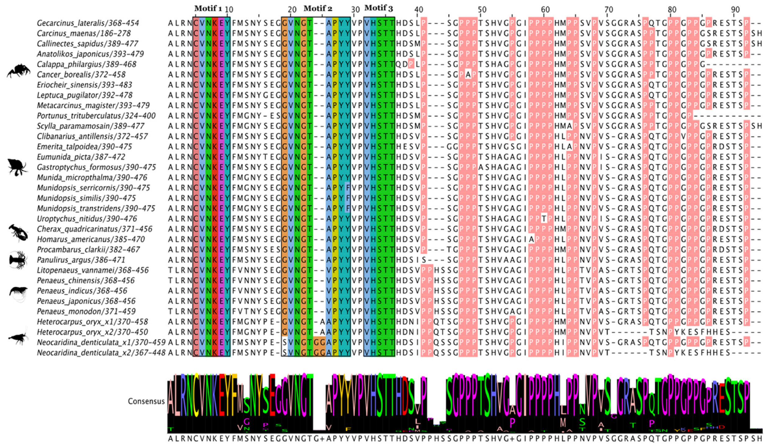 Ijms 27 01215 g018