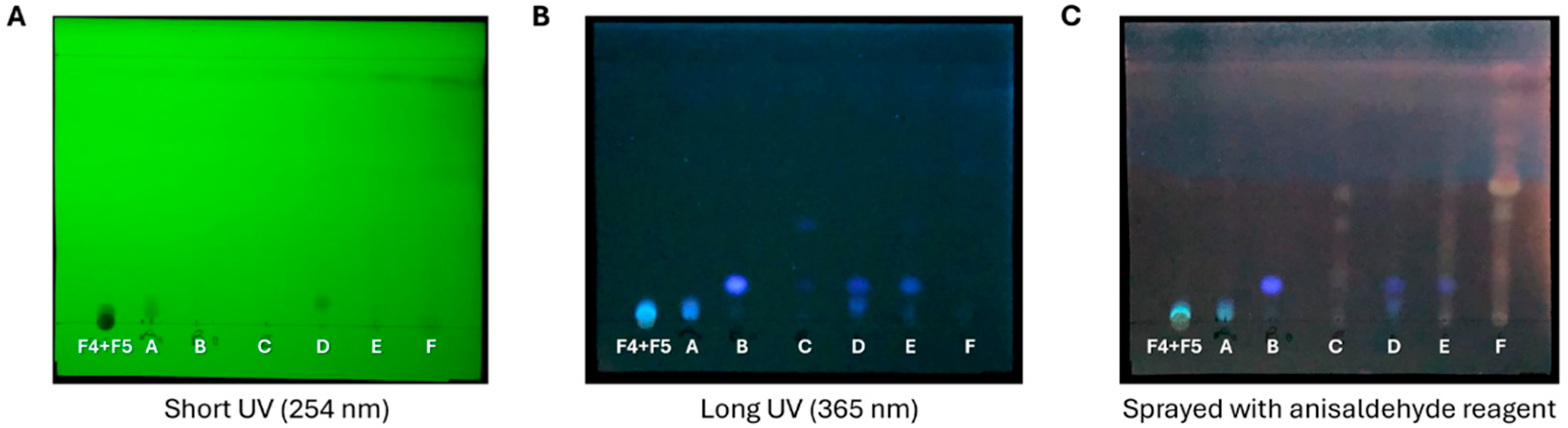 Ijms 27 01256 g006