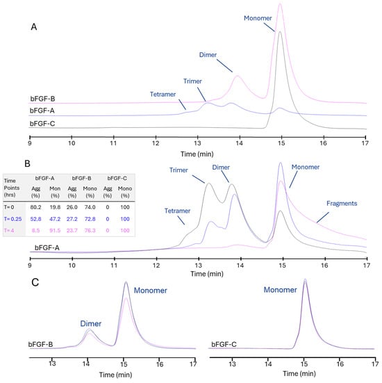 Assessment of Recombinant Human bFGF Oligomeric State from Different Vendors (A, B, C) using SEC-HPLC. (A) Purity profiles of bFGF materials obtained from Vendors A–C immediately after thaw at 4 °C and direct injection. Short-term stability profiles were determined by SEC-HPLC for bFGF-A (B) and for bFGF-B and bFGF-C (C). After thawing and holding aliquots at 4 °C, they were subsequently incubated at 37 °C for periods of 0, 0.25, and 4 h before analysis. Monomer (Mono., %) and aggregate (Agg., %) are quantified by peak-area integration and summarized.