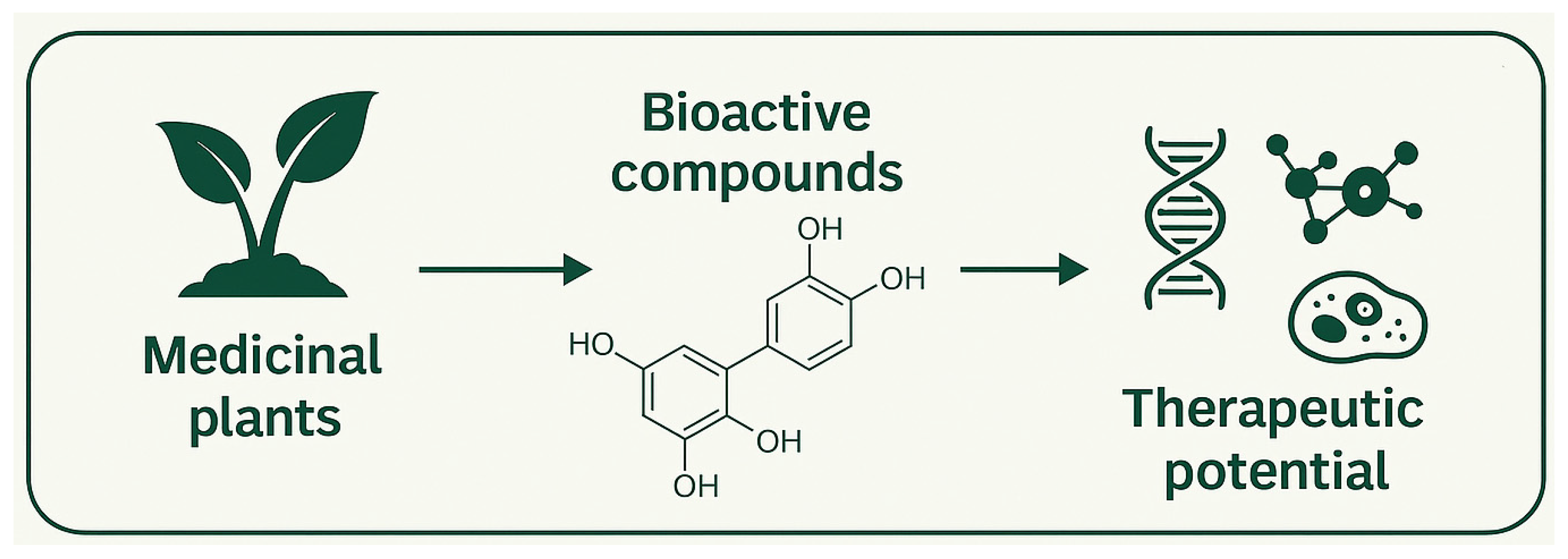 Ijms 27 01350 g001 Ijms 27 01350 g001
