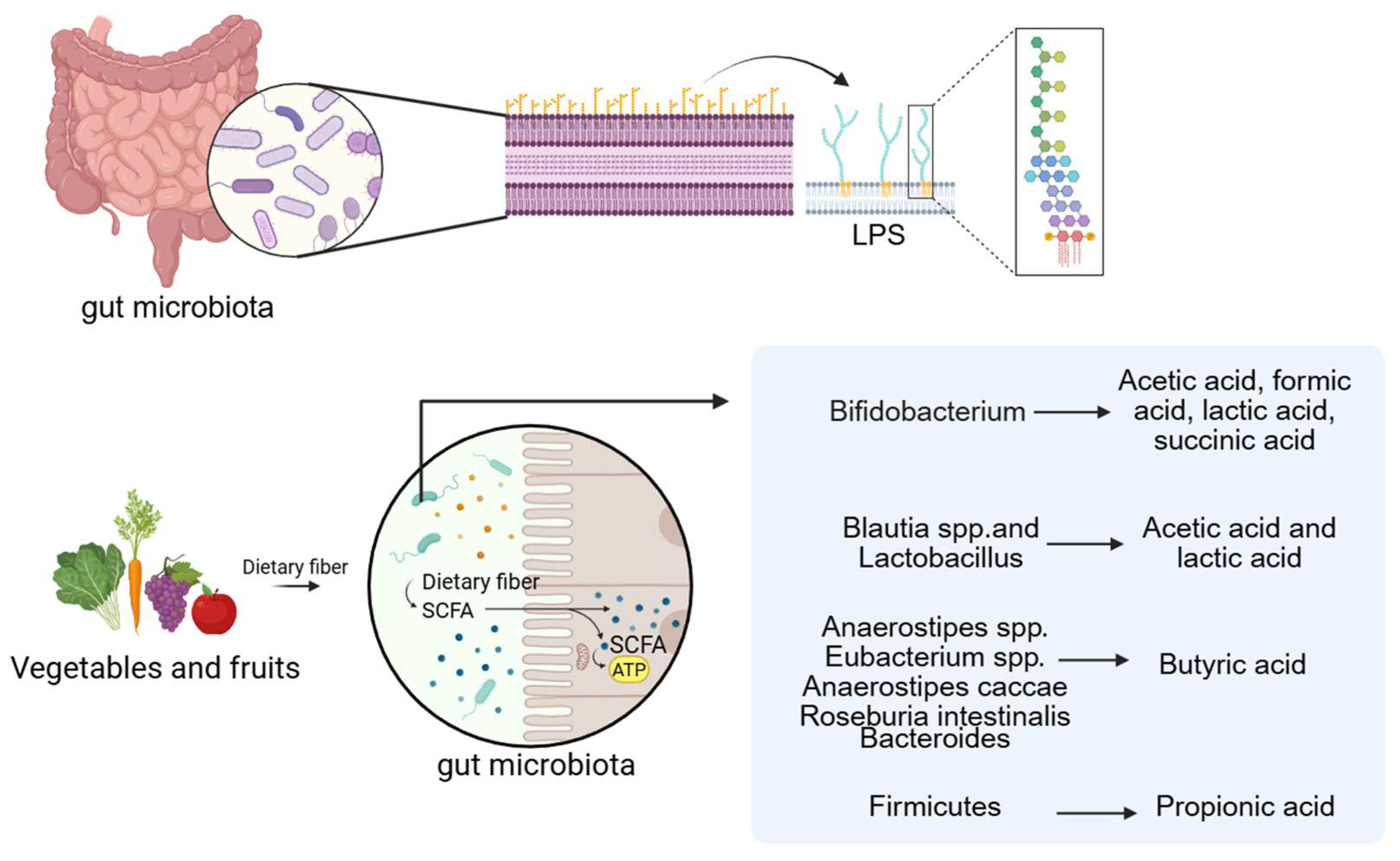 Ijms 27 01364 g002 Ijms 27 01364 g002