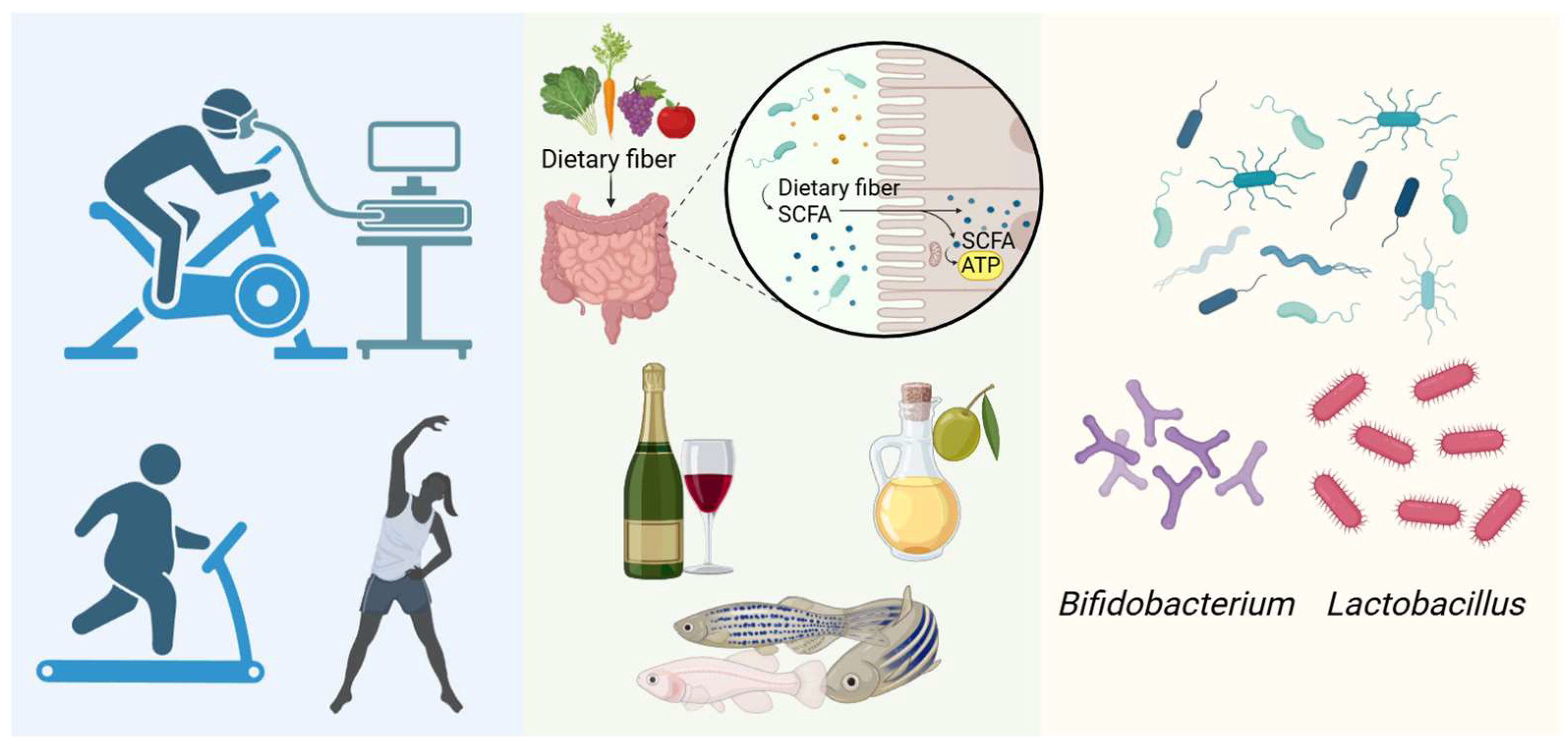 Ijms 27 01364 g005 Ijms 27 01364 g005