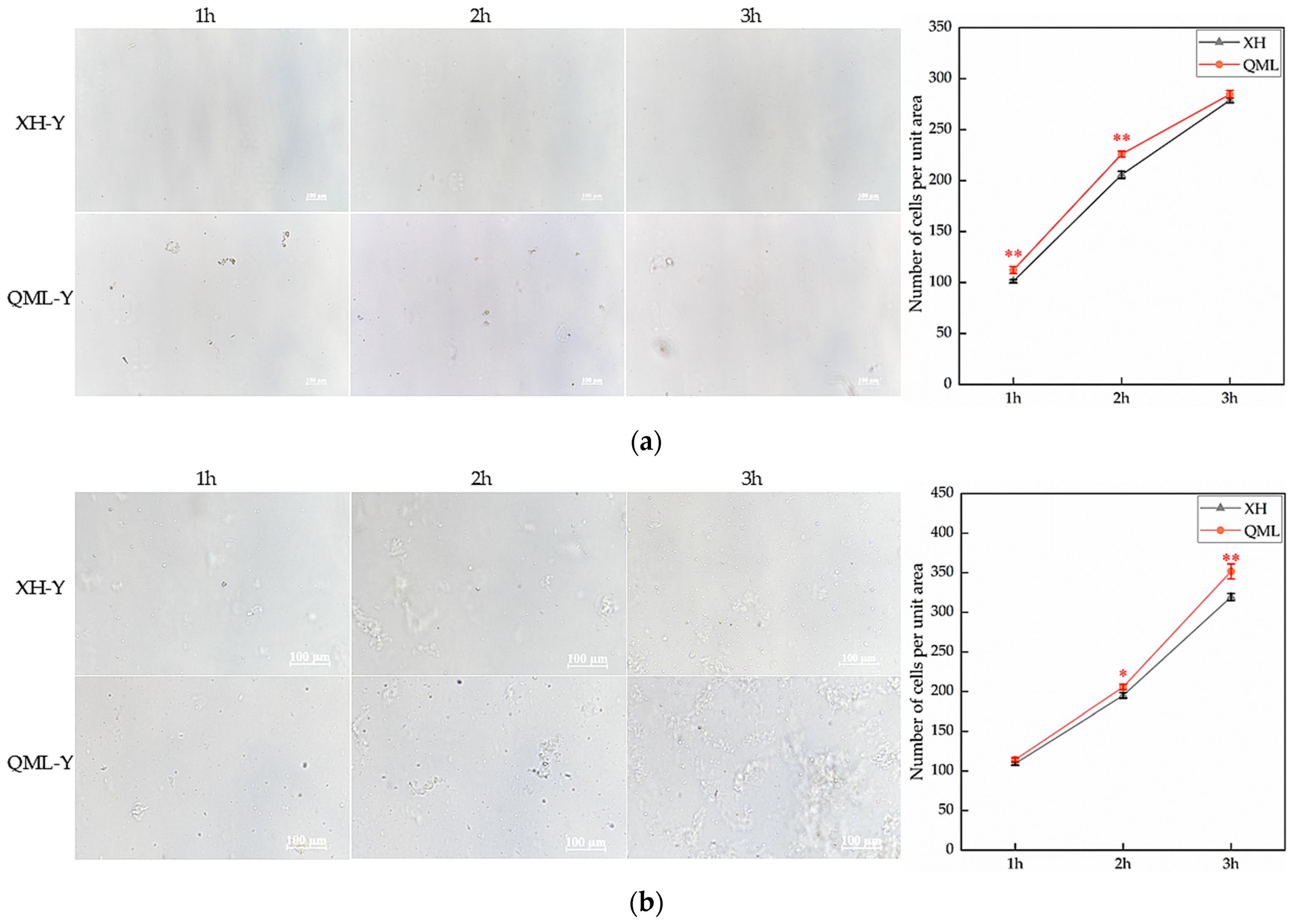 Ijms 27 01368 g001 Ijms 27 01368 g001