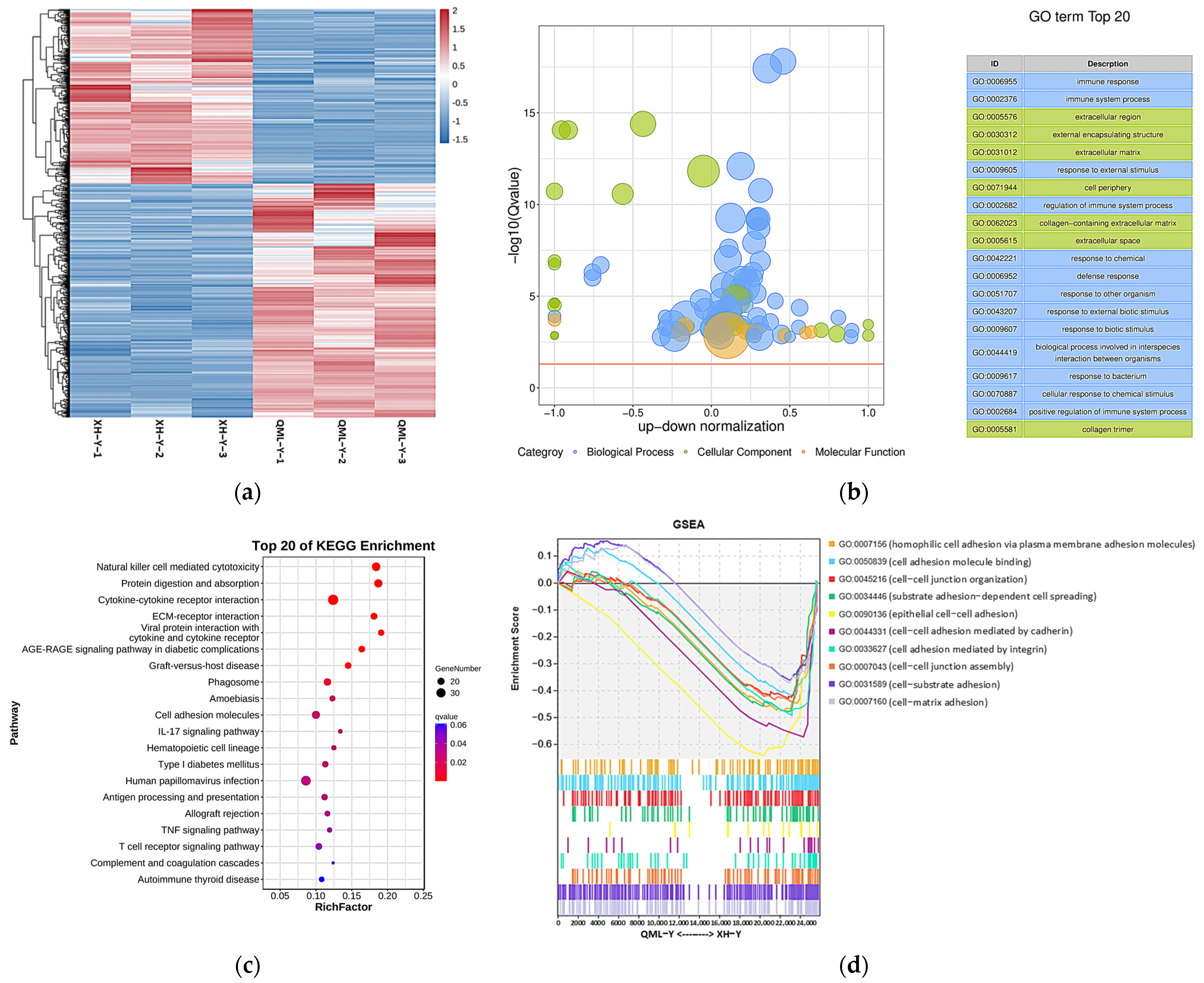 Ijms 27 01368 g002 Ijms 27 01368 g002