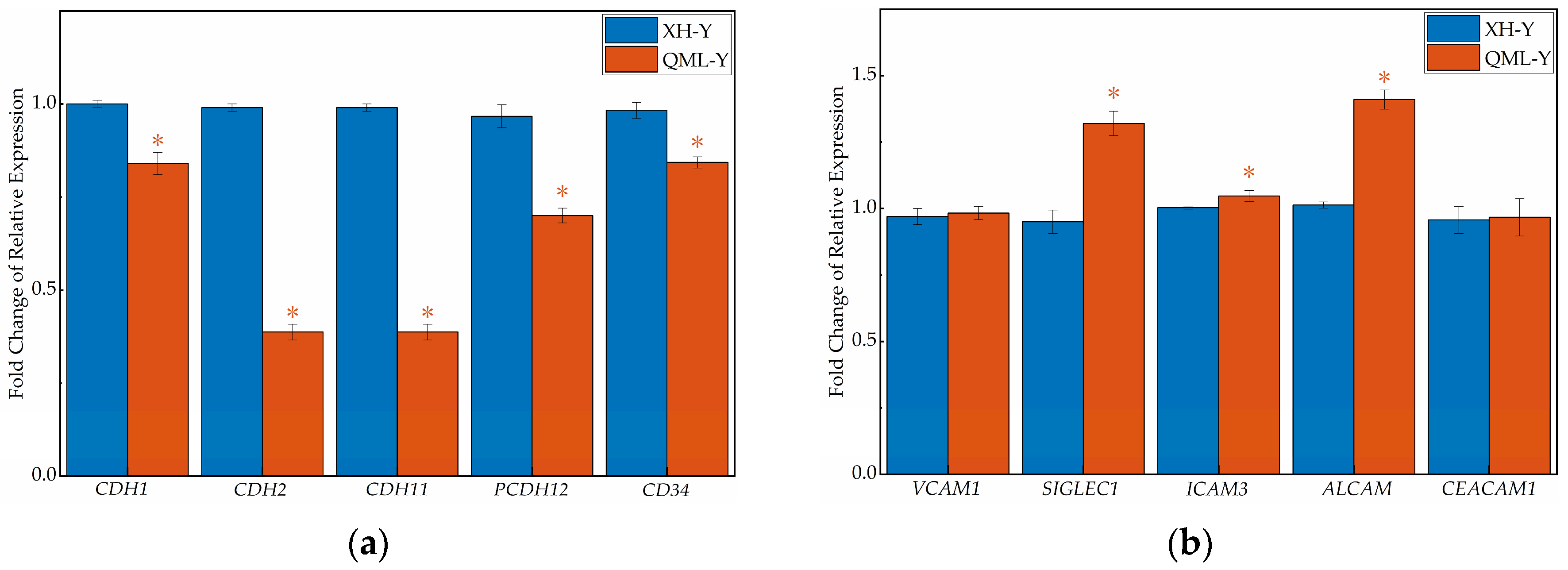 Ijms 27 01368 g004a Ijms 27 01368 g004a
