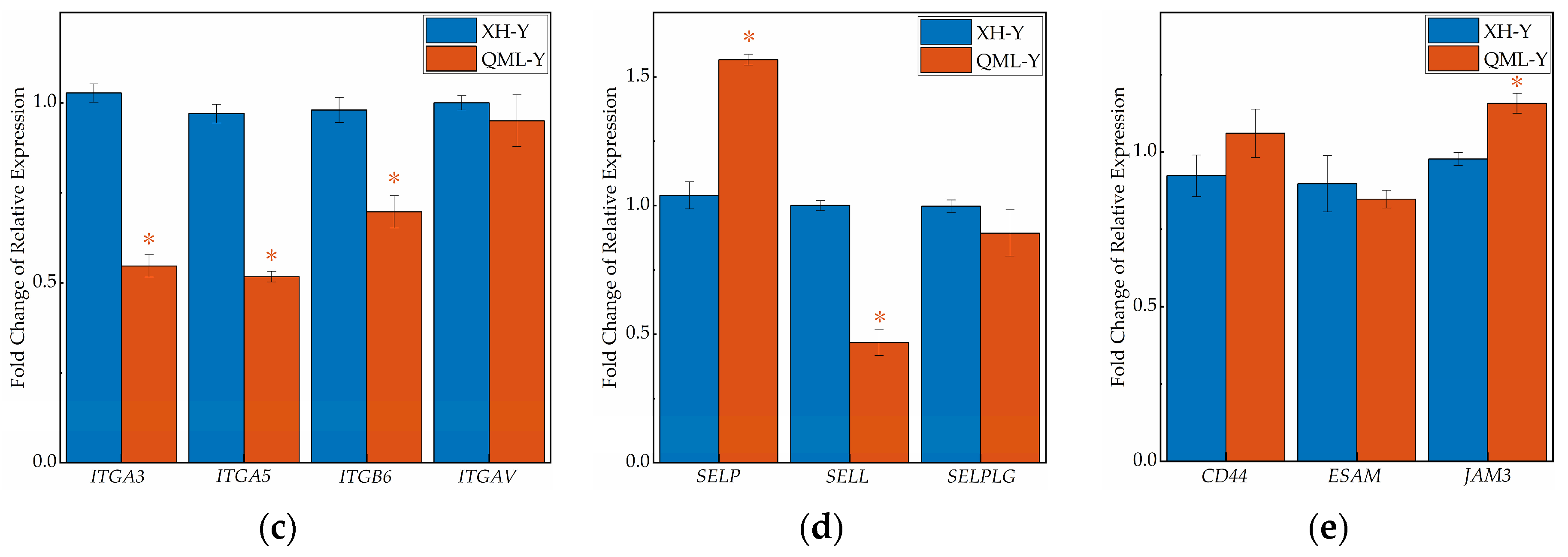 Ijms 27 01368 g004b Ijms 27 01368 g004b