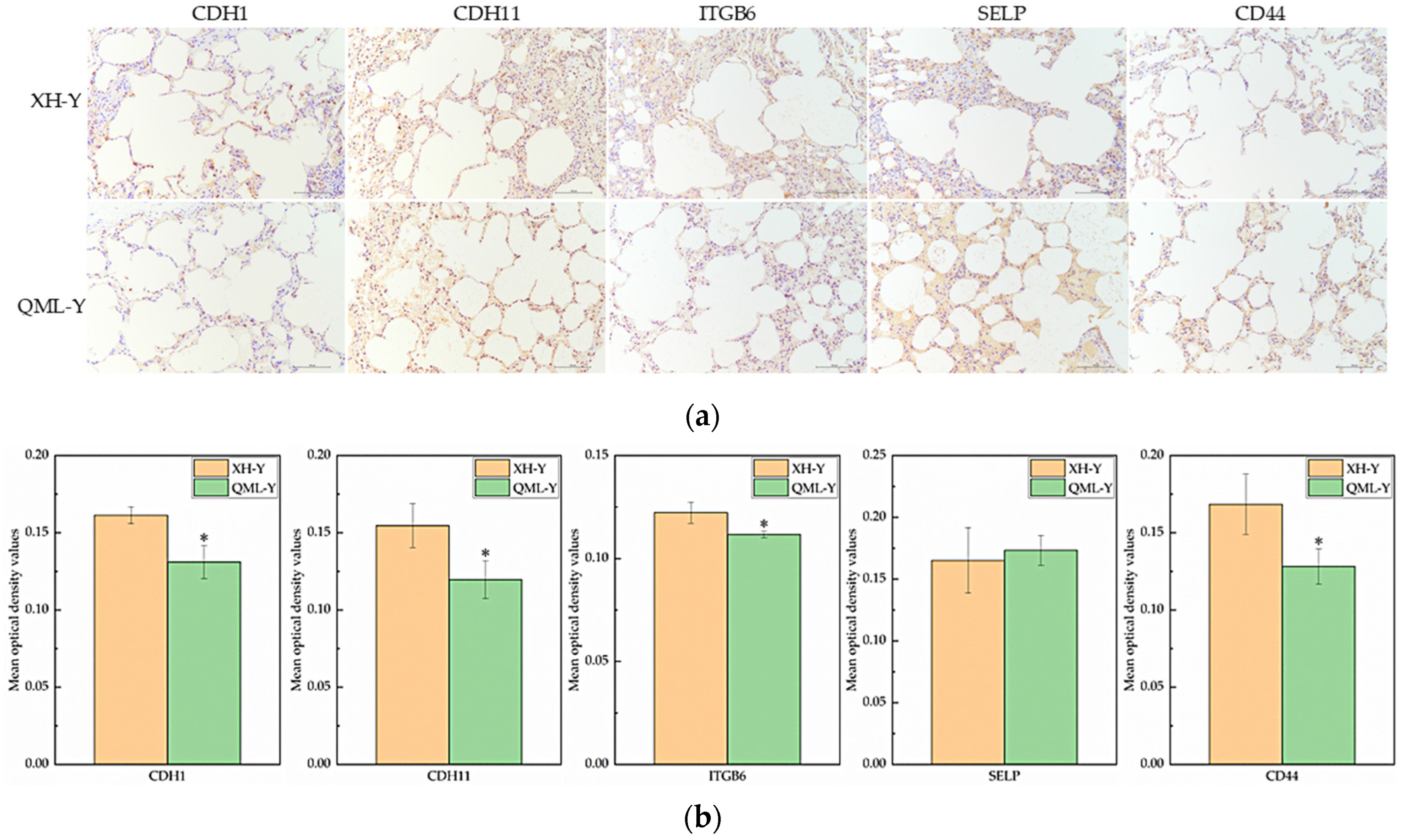 Ijms 27 01368 g005 Ijms 27 01368 g005