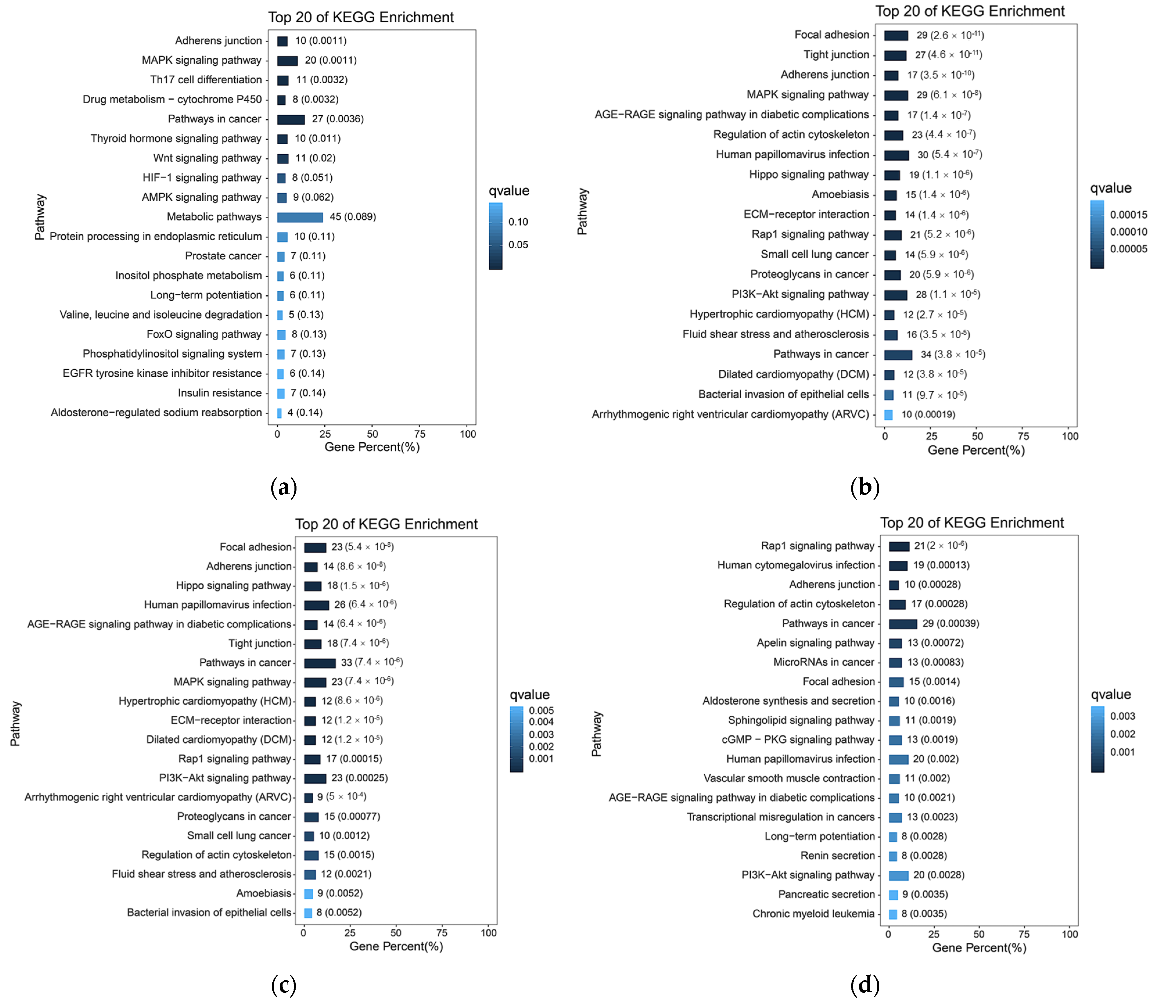 Ijms 27 01368 g006a Ijms 27 01368 g006a