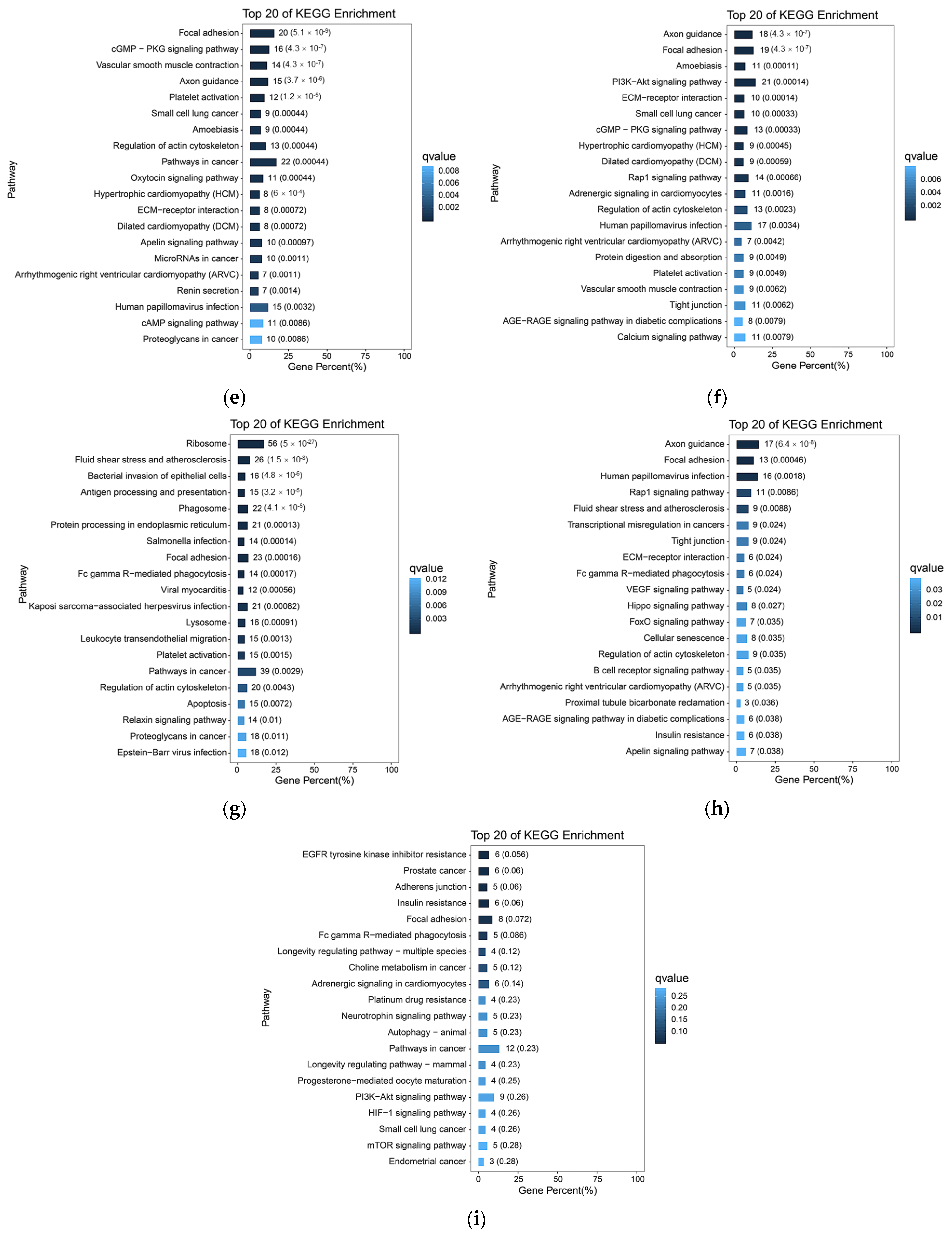 Ijms 27 01368 g006b Ijms 27 01368 g006b