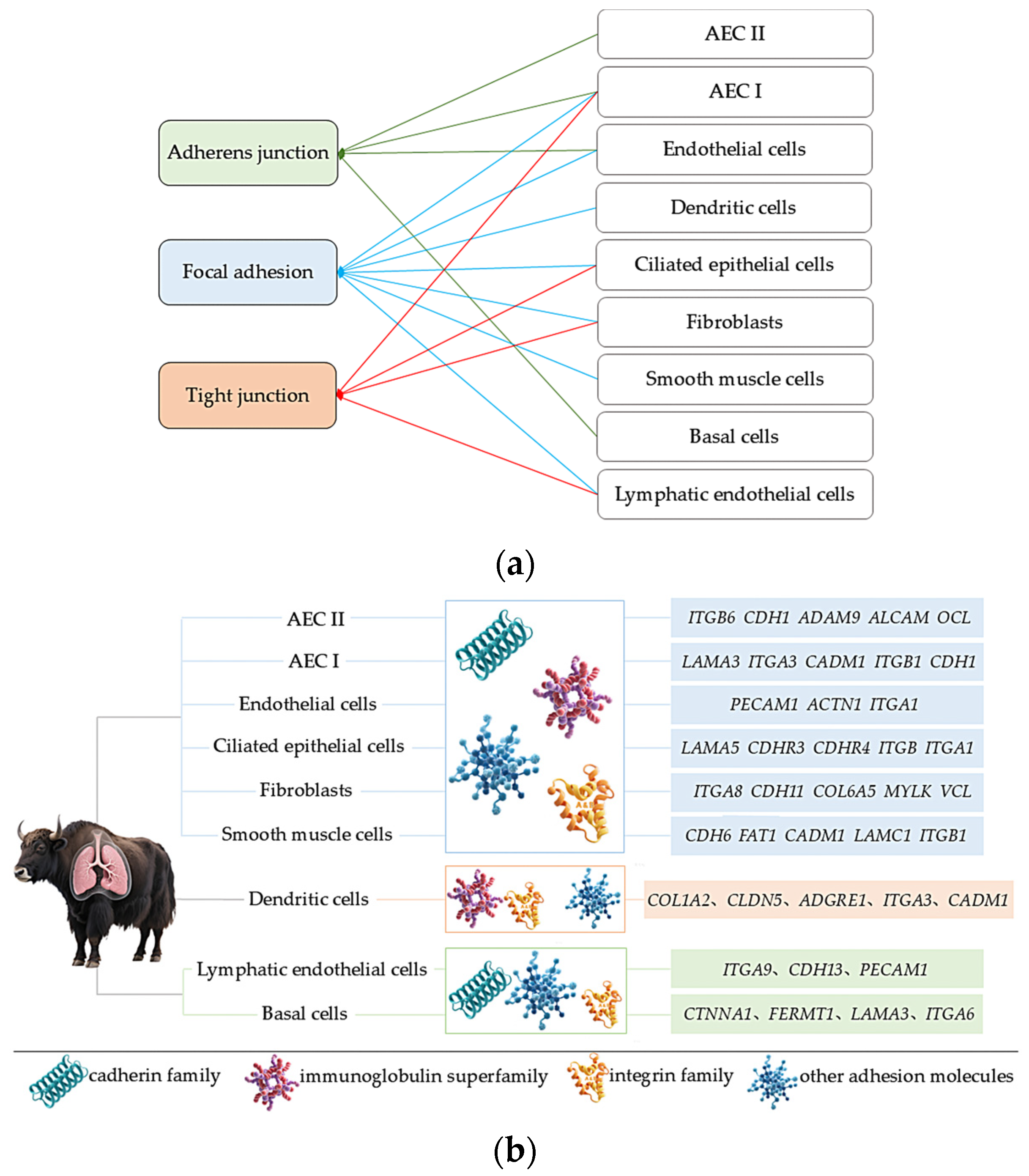 Ijms 27 01368 g007 Ijms 27 01368 g007