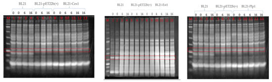 Ijms 27 01372 g0a6