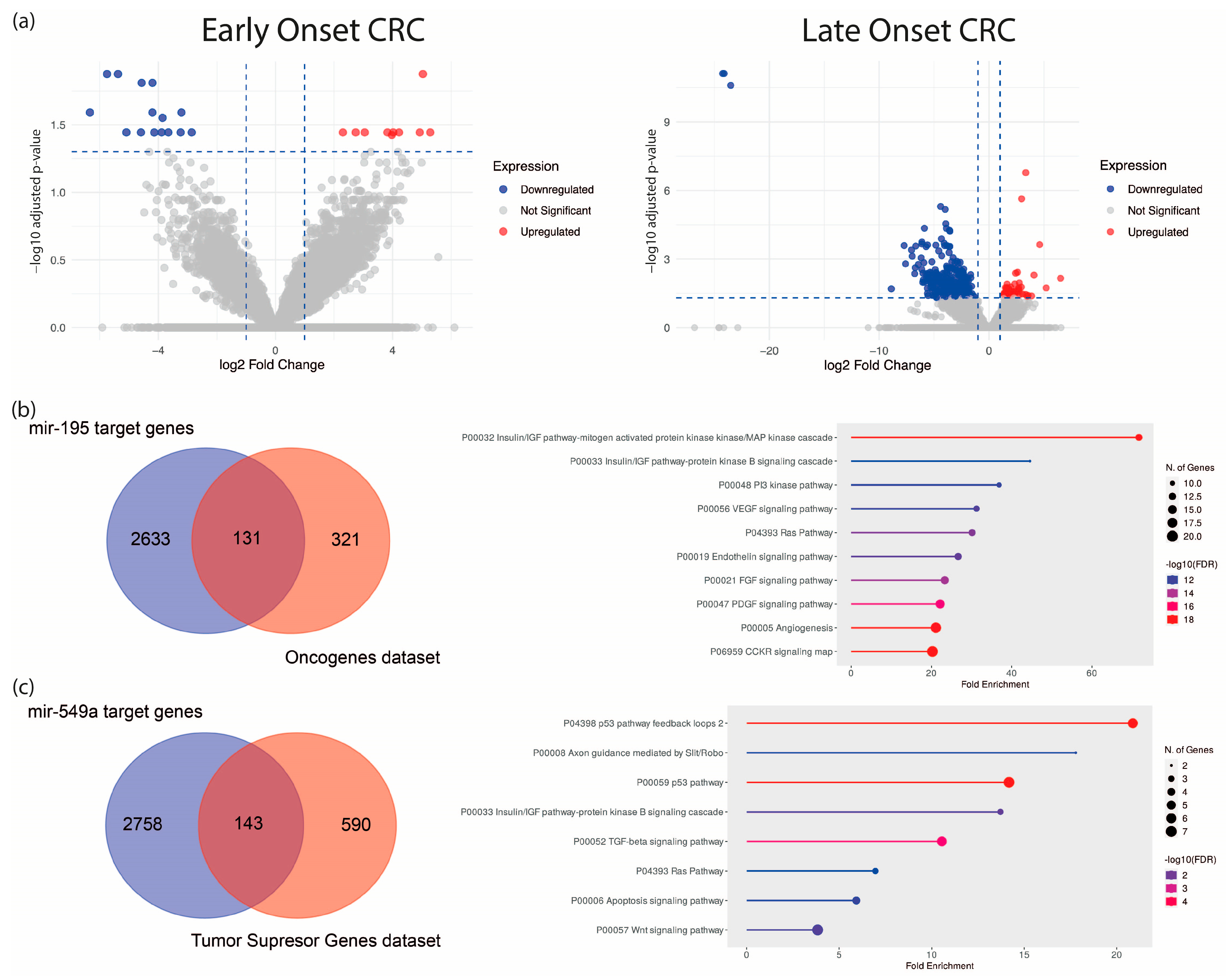 Ijms 27 01379 g001 Ijms 27 01379 g001