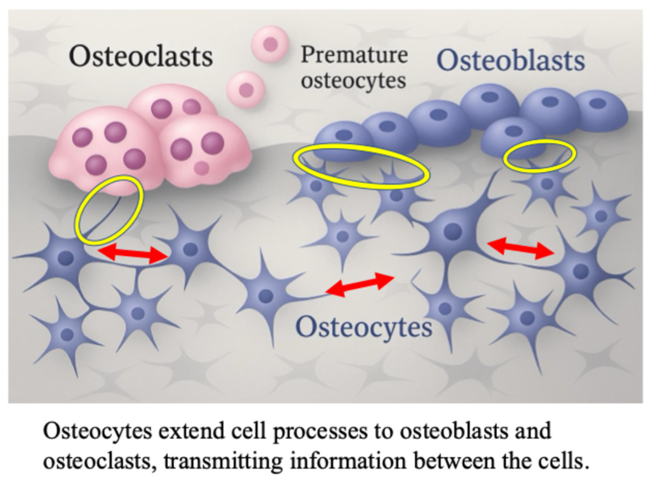 Ijms 27 01380 g001 Ijms 27 01380 g001