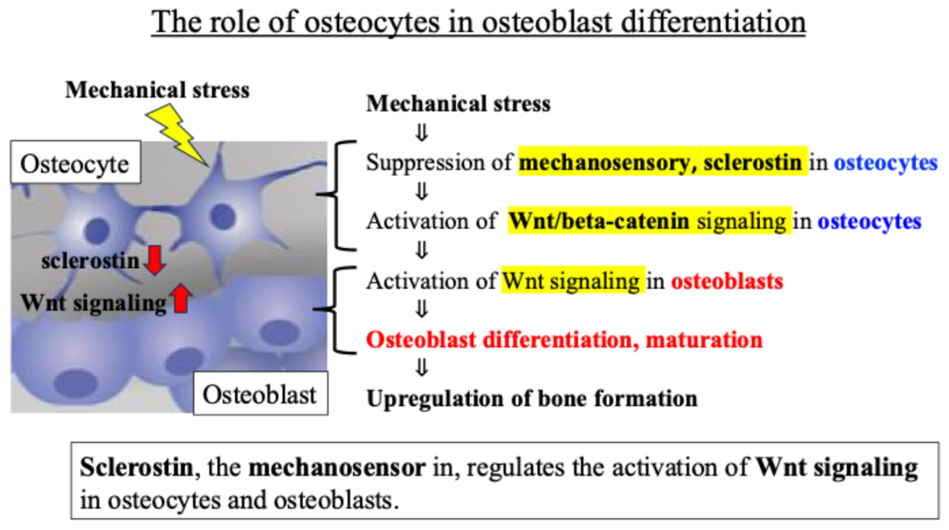 Ijms 27 01380 g002 Ijms 27 01380 g002