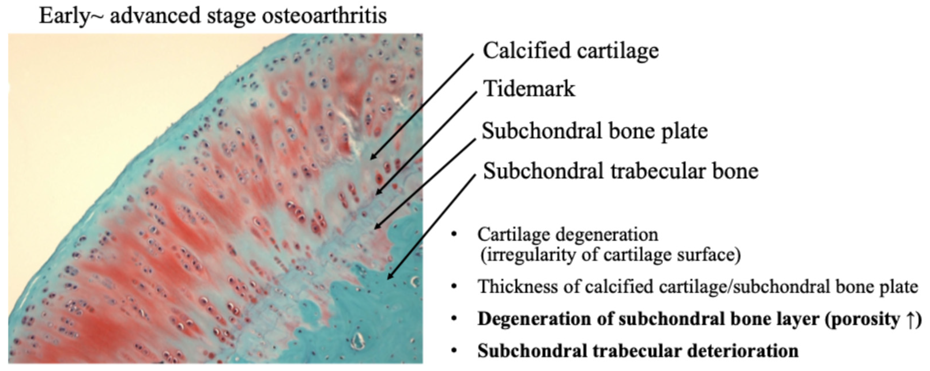 Ijms 27 01380 g008 Ijms 27 01380 g008