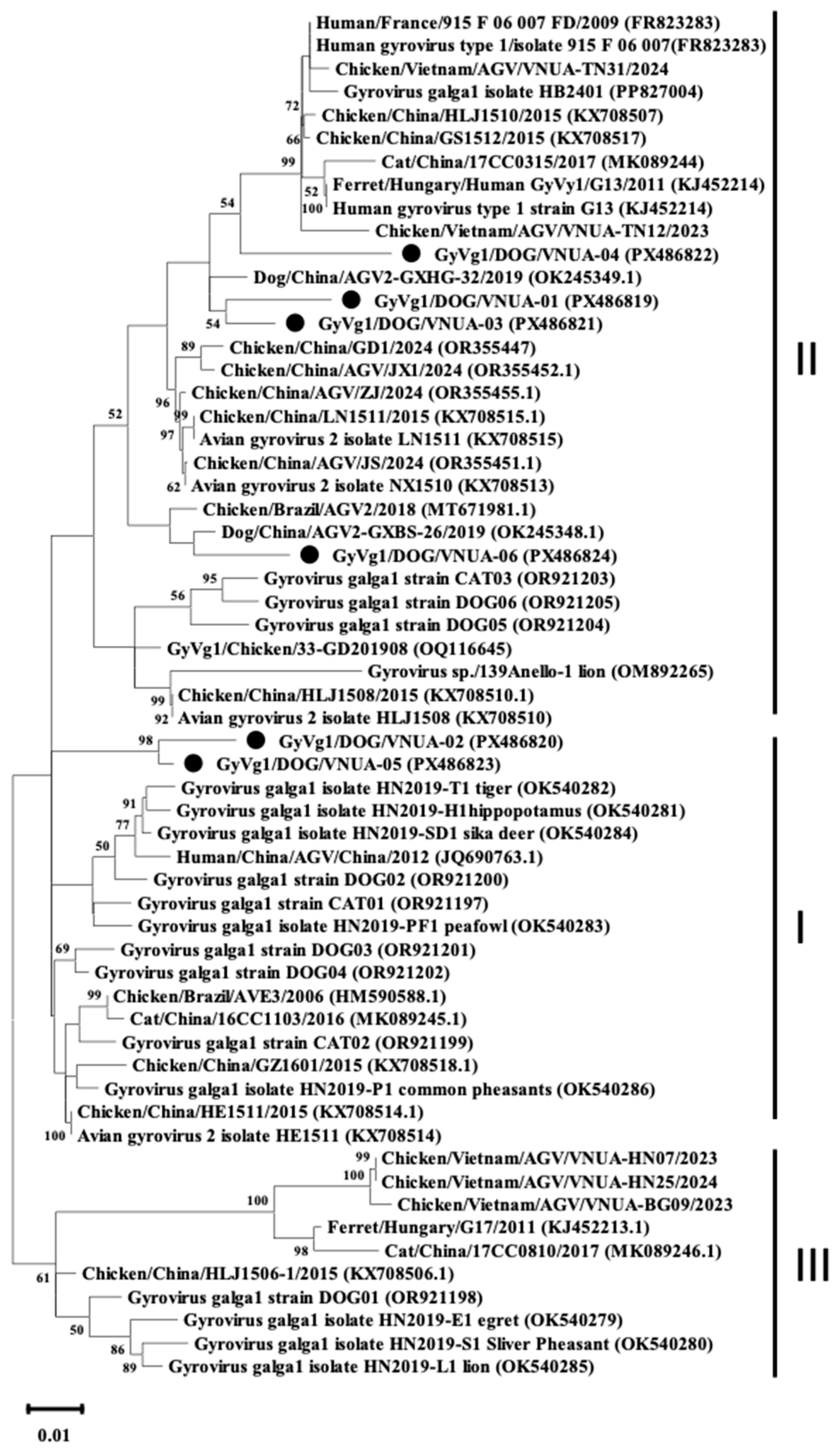 Ijms 27 01384 g001 Ijms 27 01384 g001