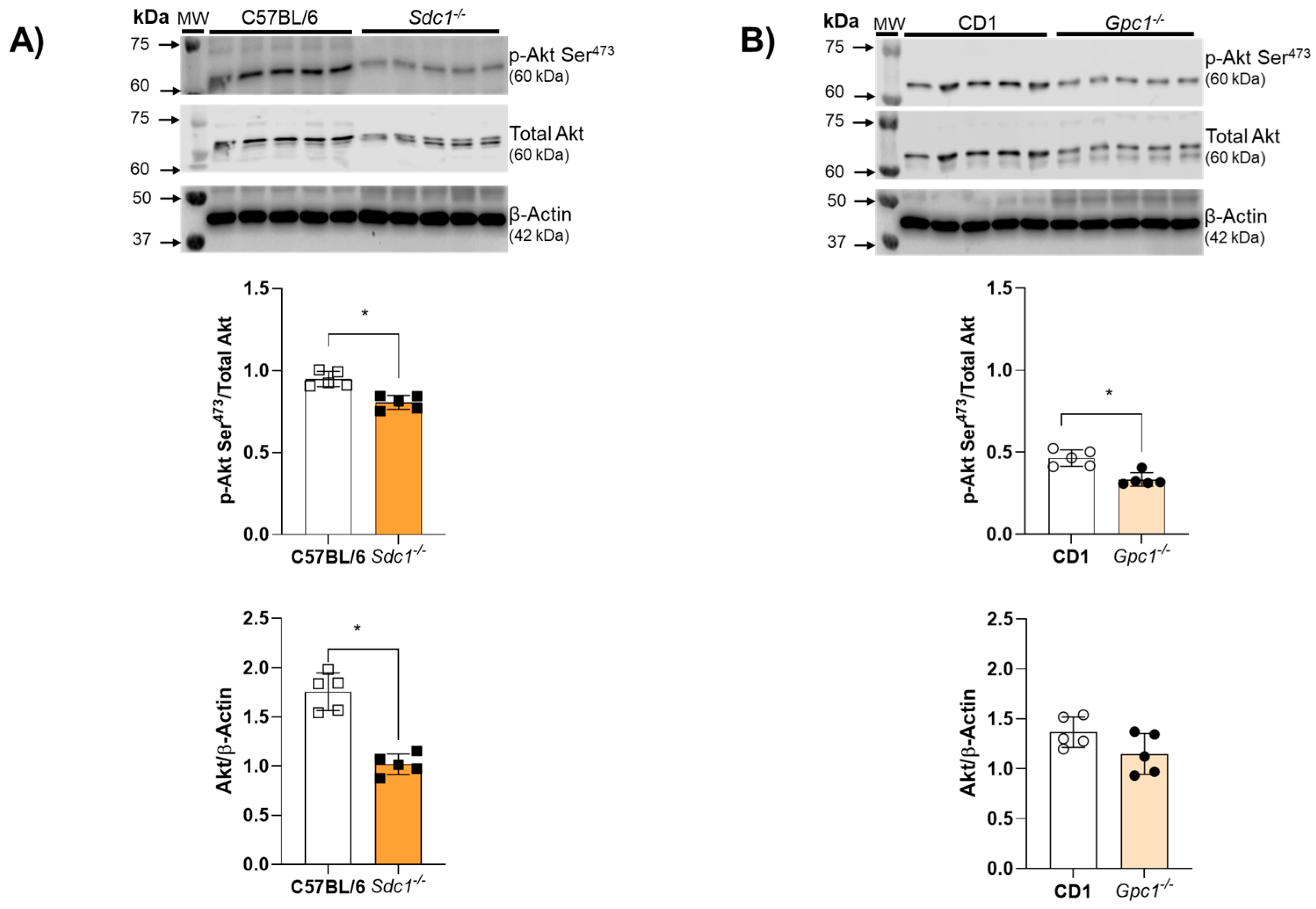Ijms 27 01386 g004 Ijms 27 01386 g004
