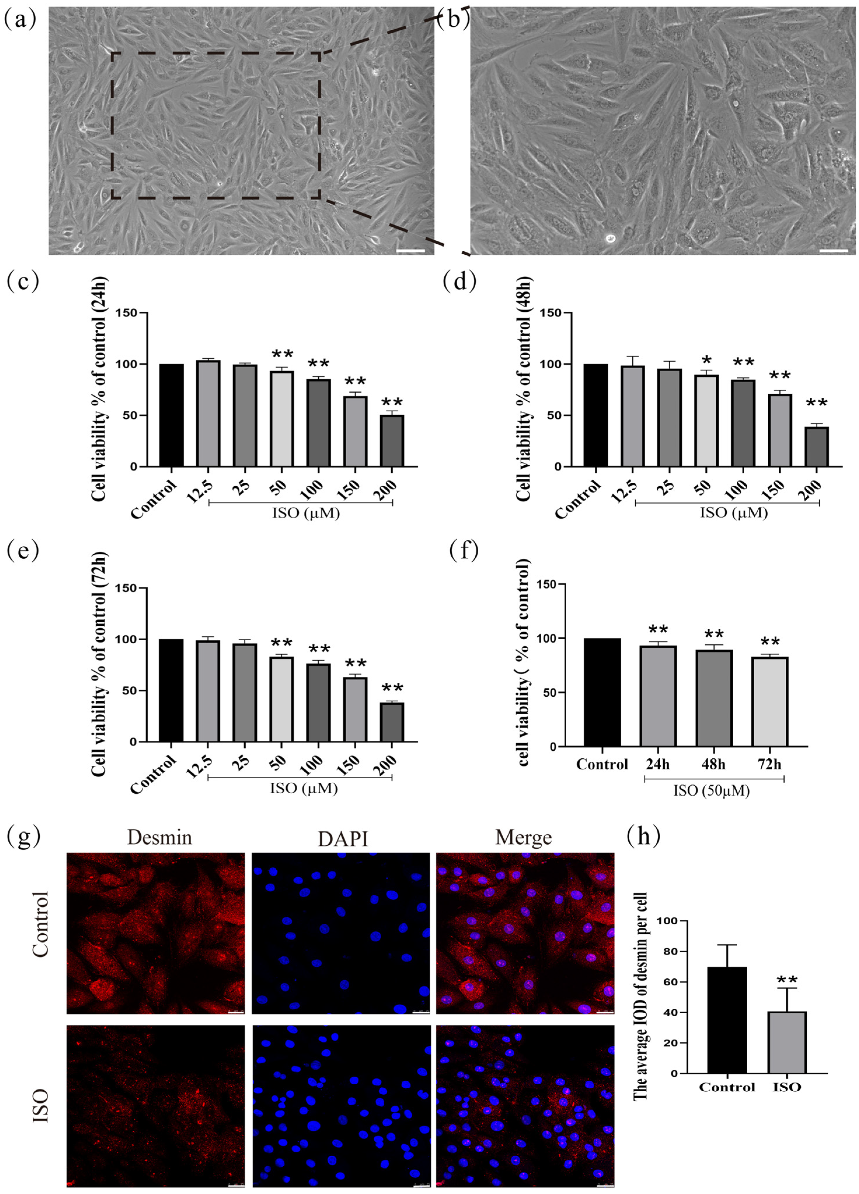 Ijms 27 01390 g001 Ijms 27 01390 g001