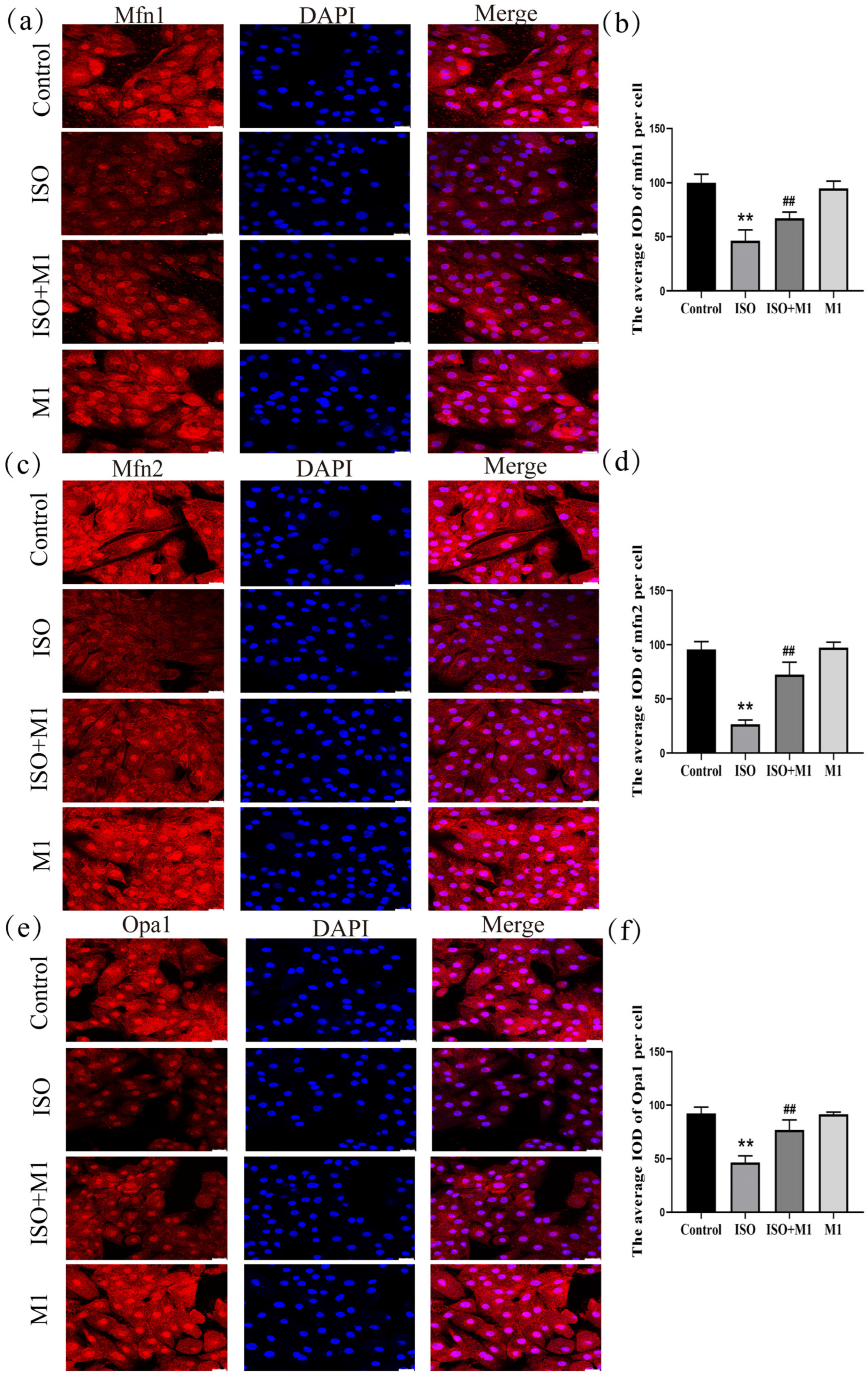 Ijms 27 01390 g002 Ijms 27 01390 g002