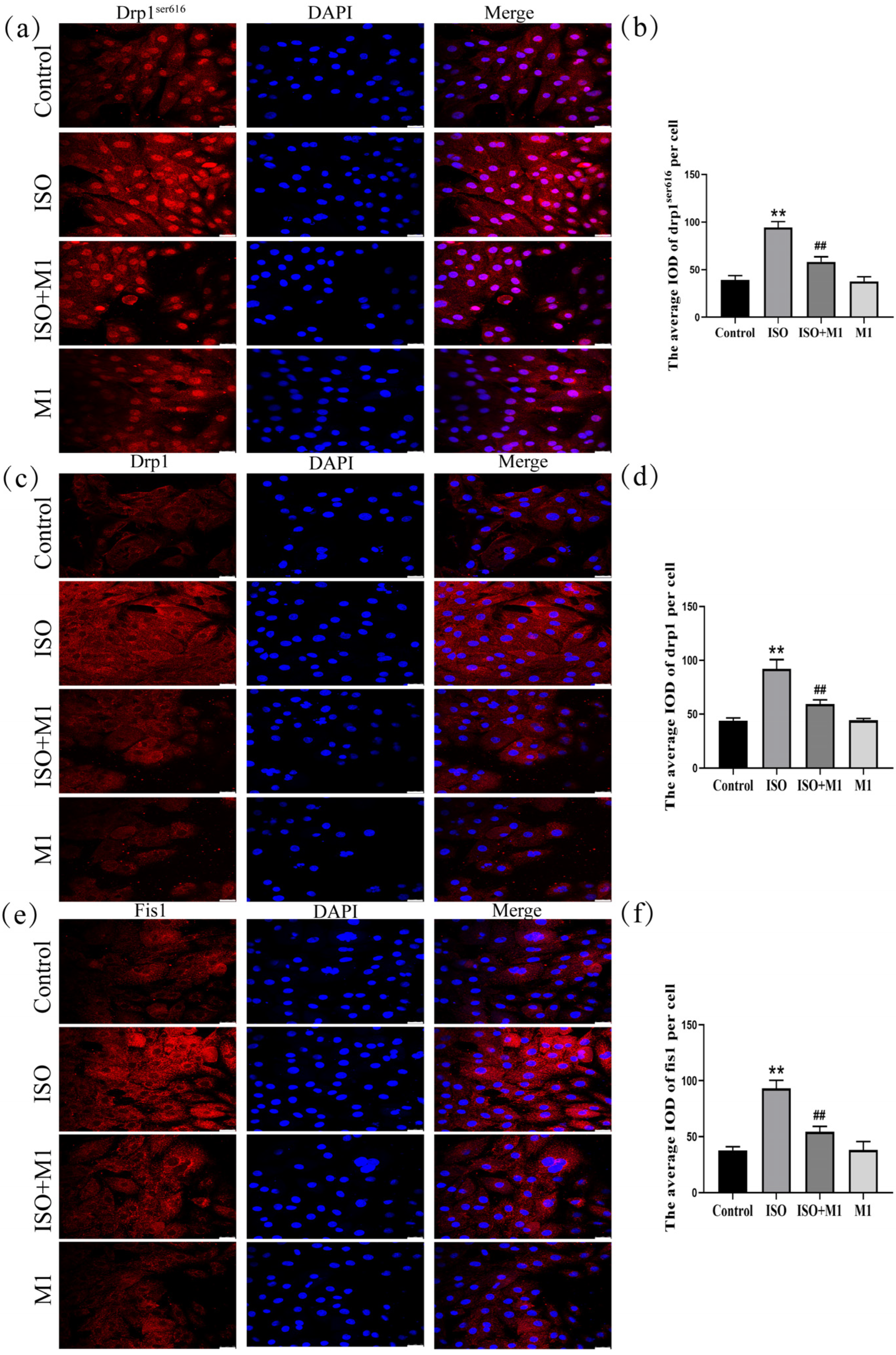 Ijms 27 01390 g003 Ijms 27 01390 g003