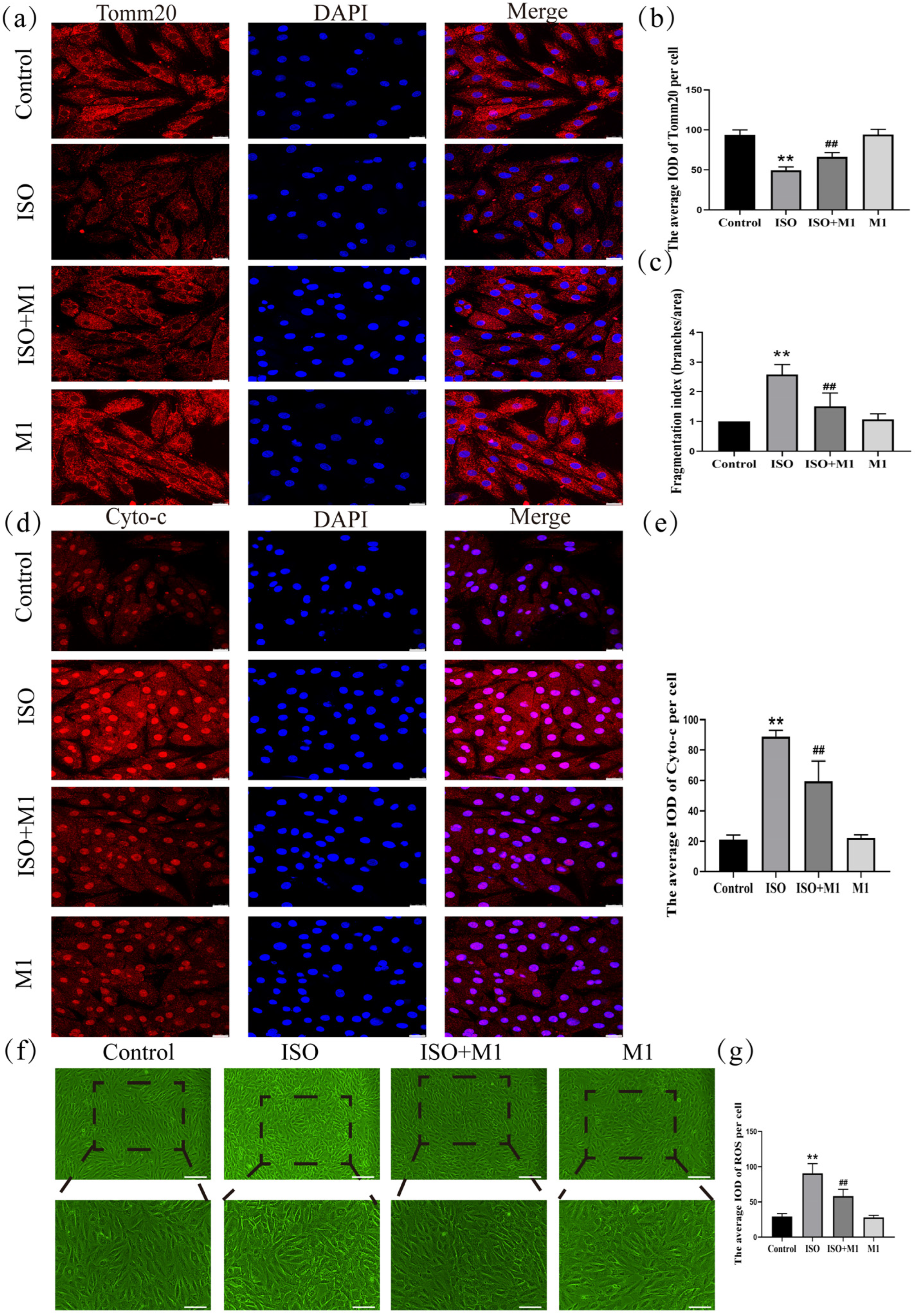 Ijms 27 01390 g004 Ijms 27 01390 g004