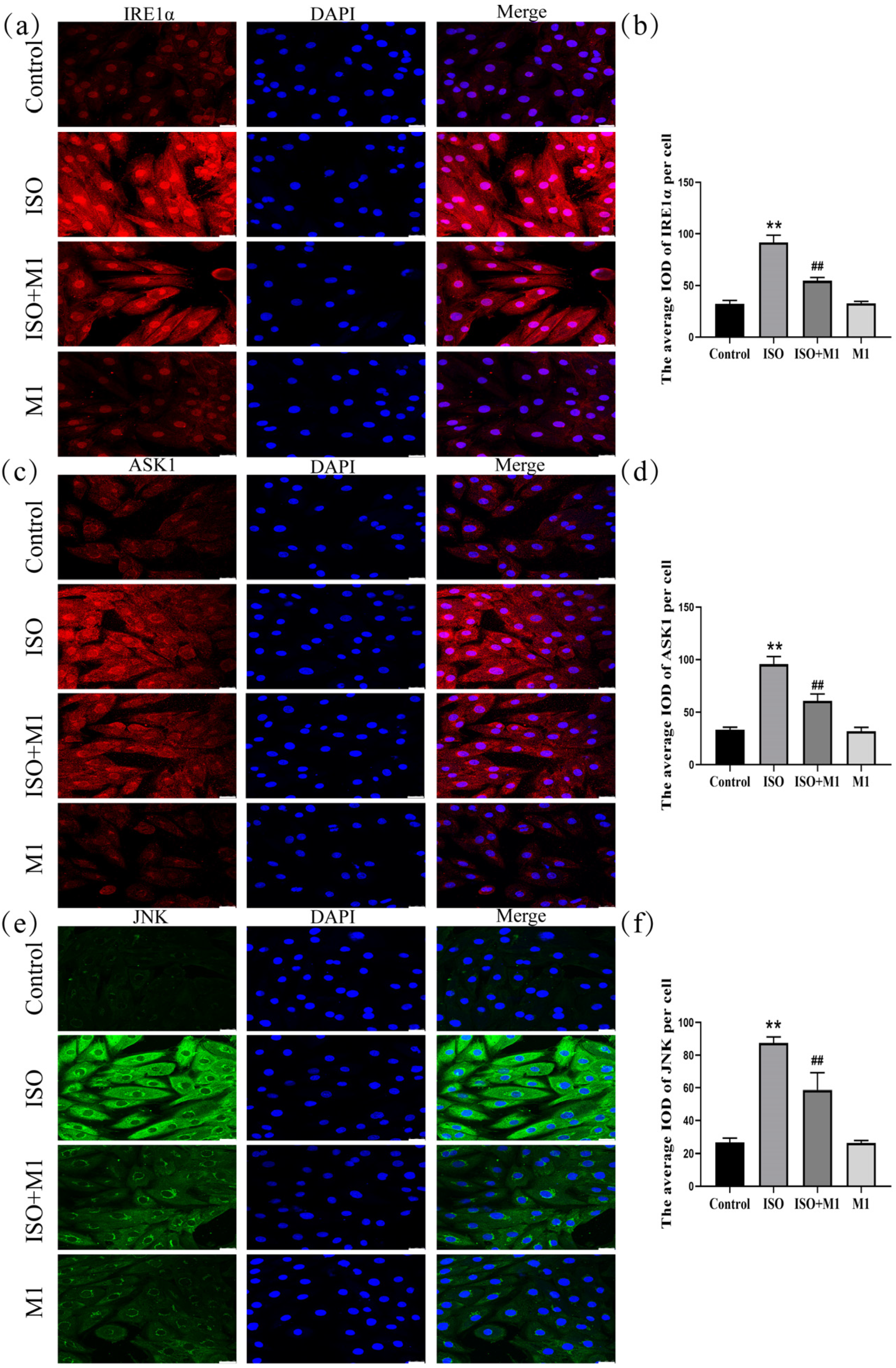 Ijms 27 01390 g005 Ijms 27 01390 g005