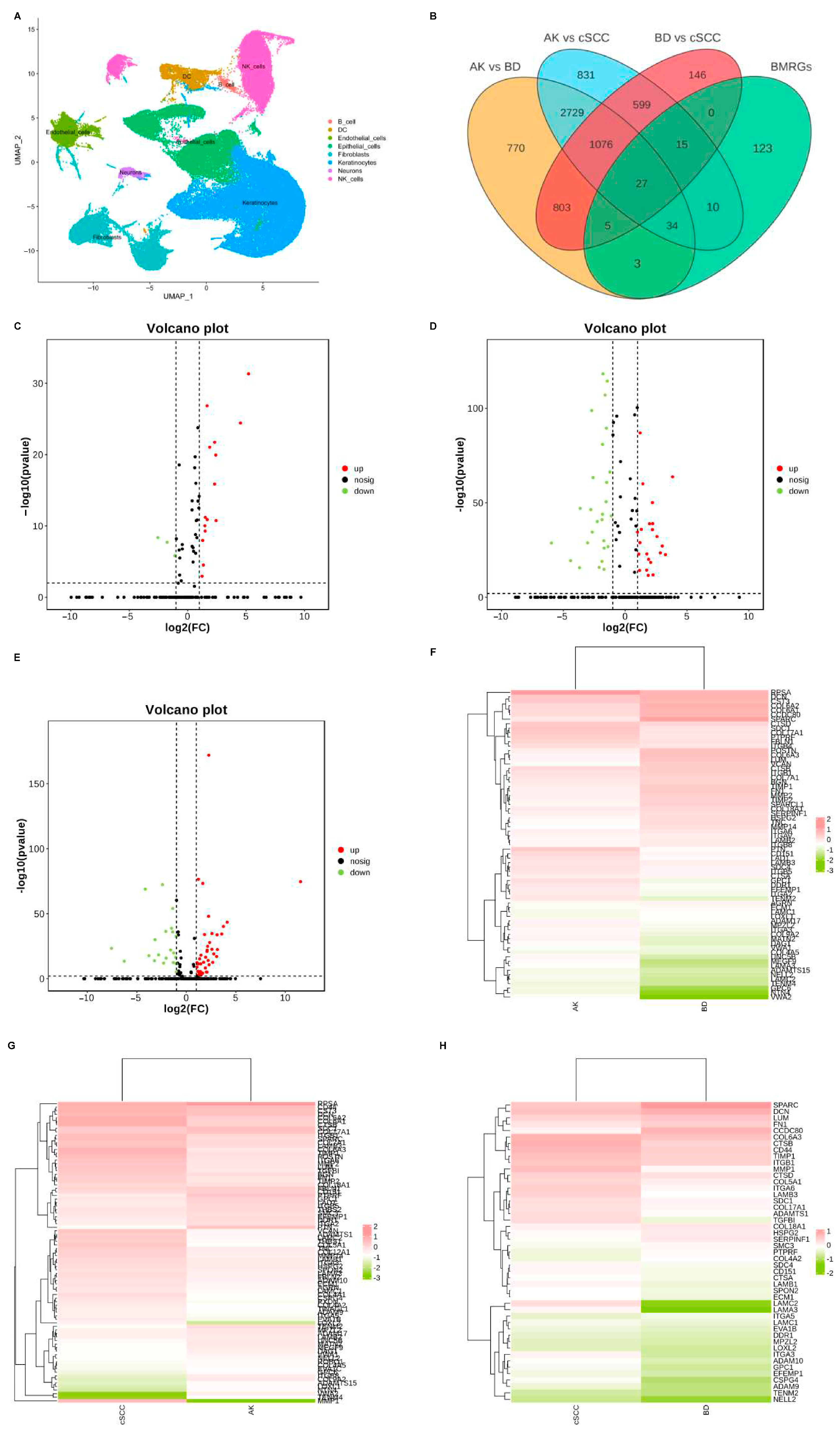 Ijms 27 01394 g001 Ijms 27 01394 g001