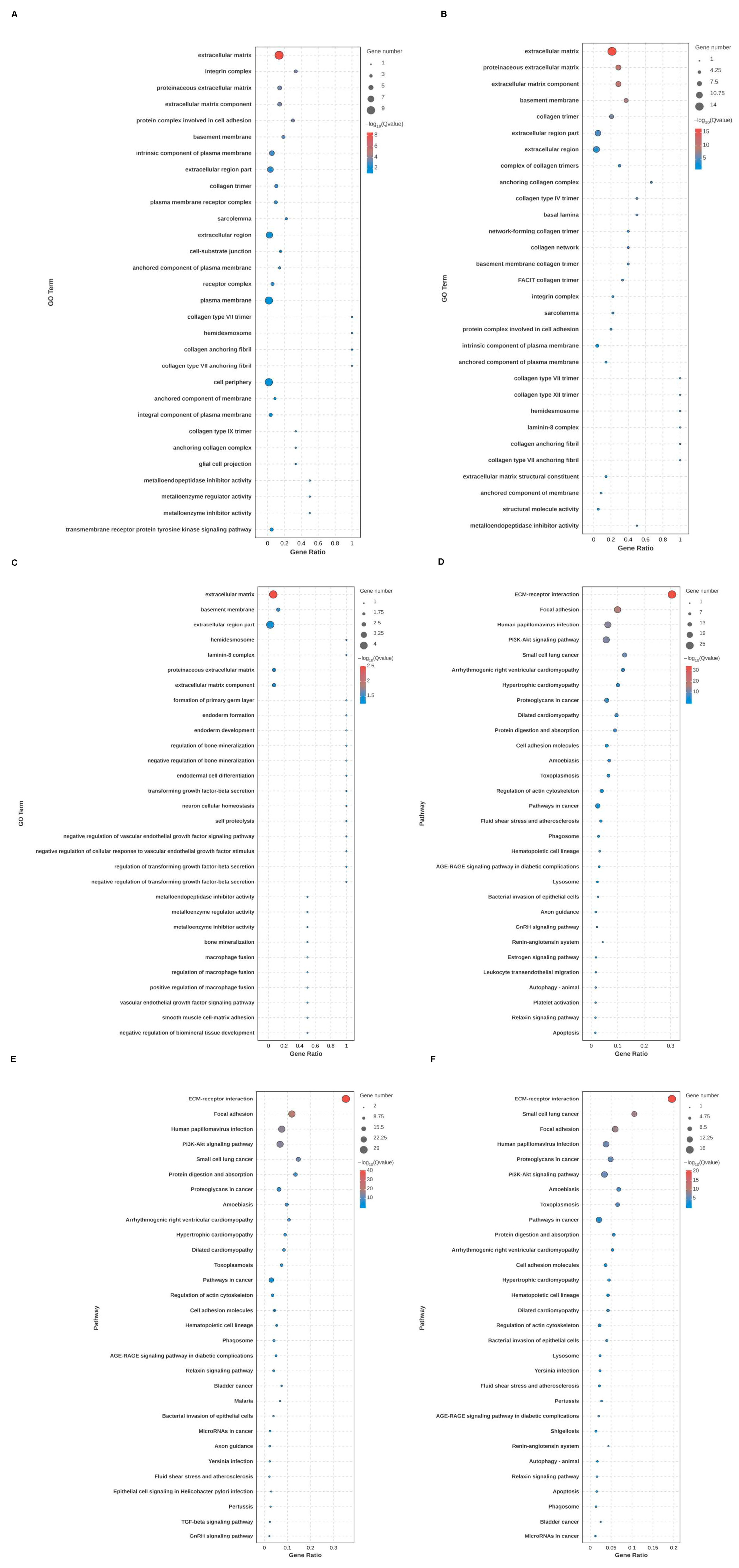 Ijms 27 01394 g002 Ijms 27 01394 g002