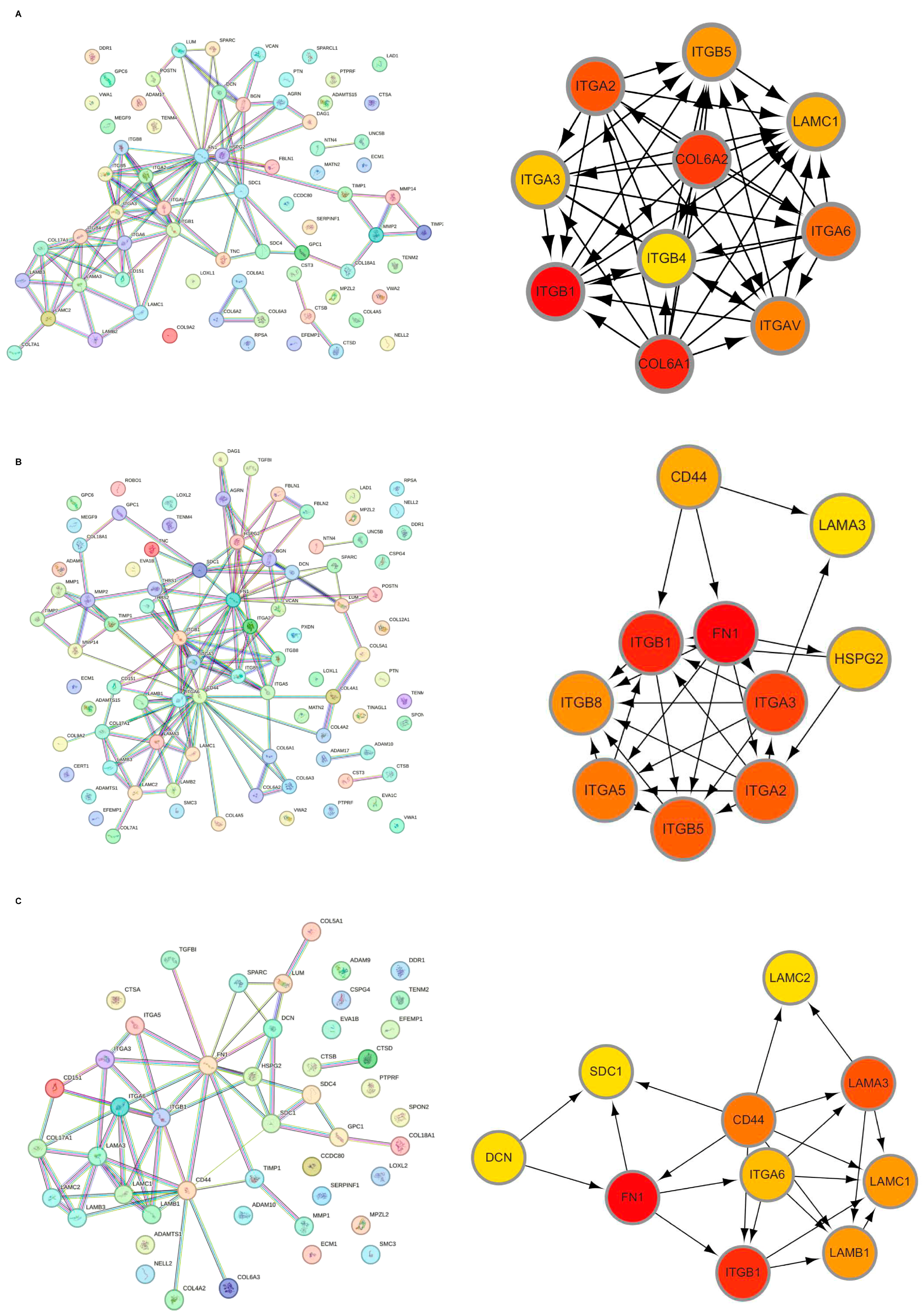 Ijms 27 01394 g003 Ijms 27 01394 g003