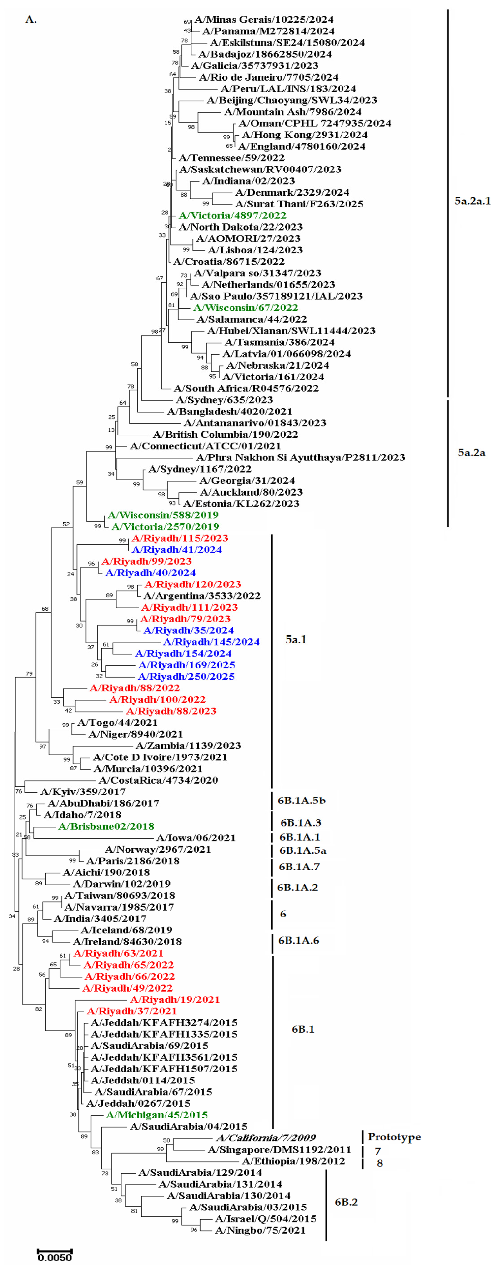 Ijms 27 01412 g003a Ijms 27 01412 g003a