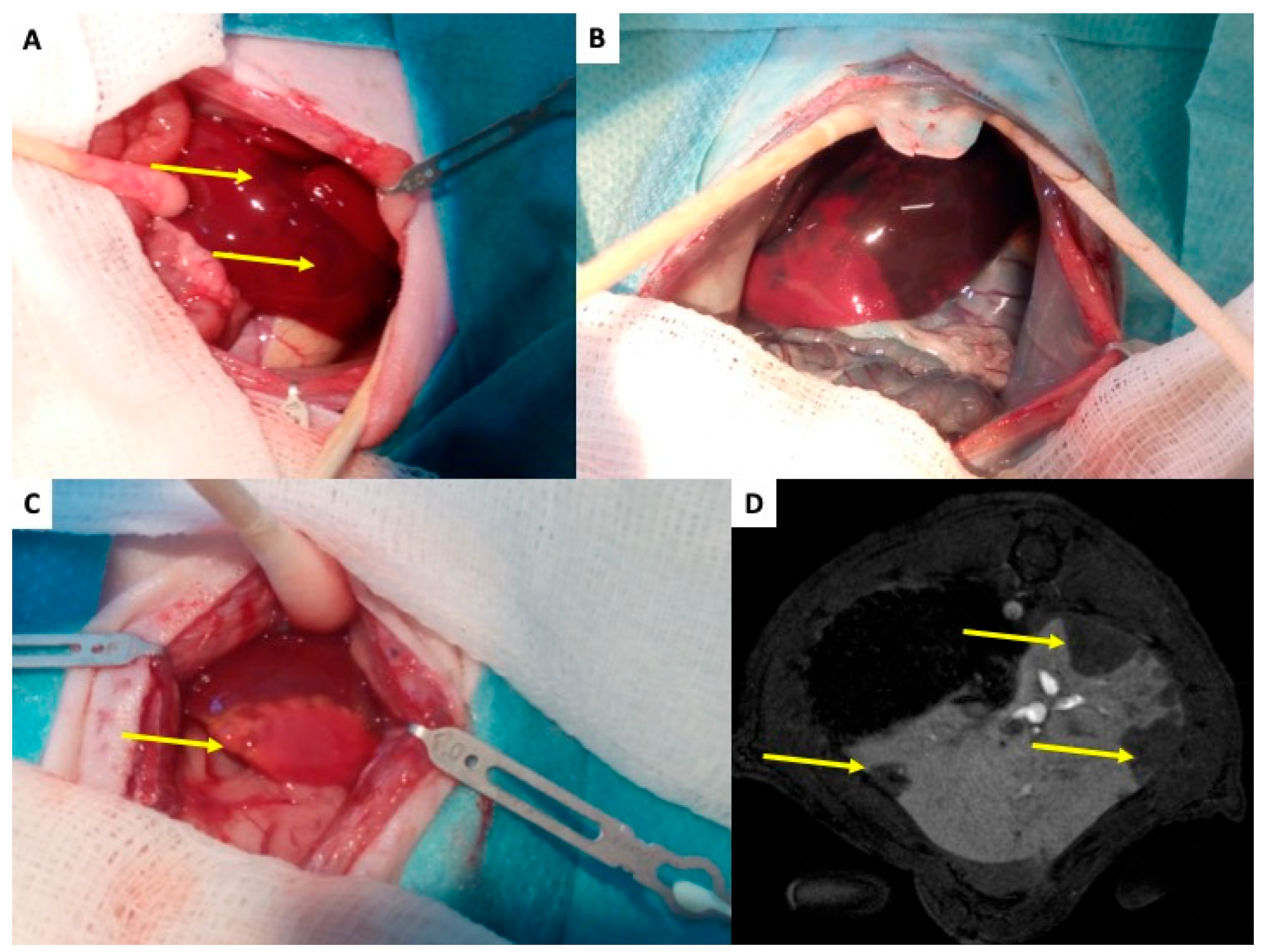 Ijms 27 01419 g003 Ijms 27 01419 g003