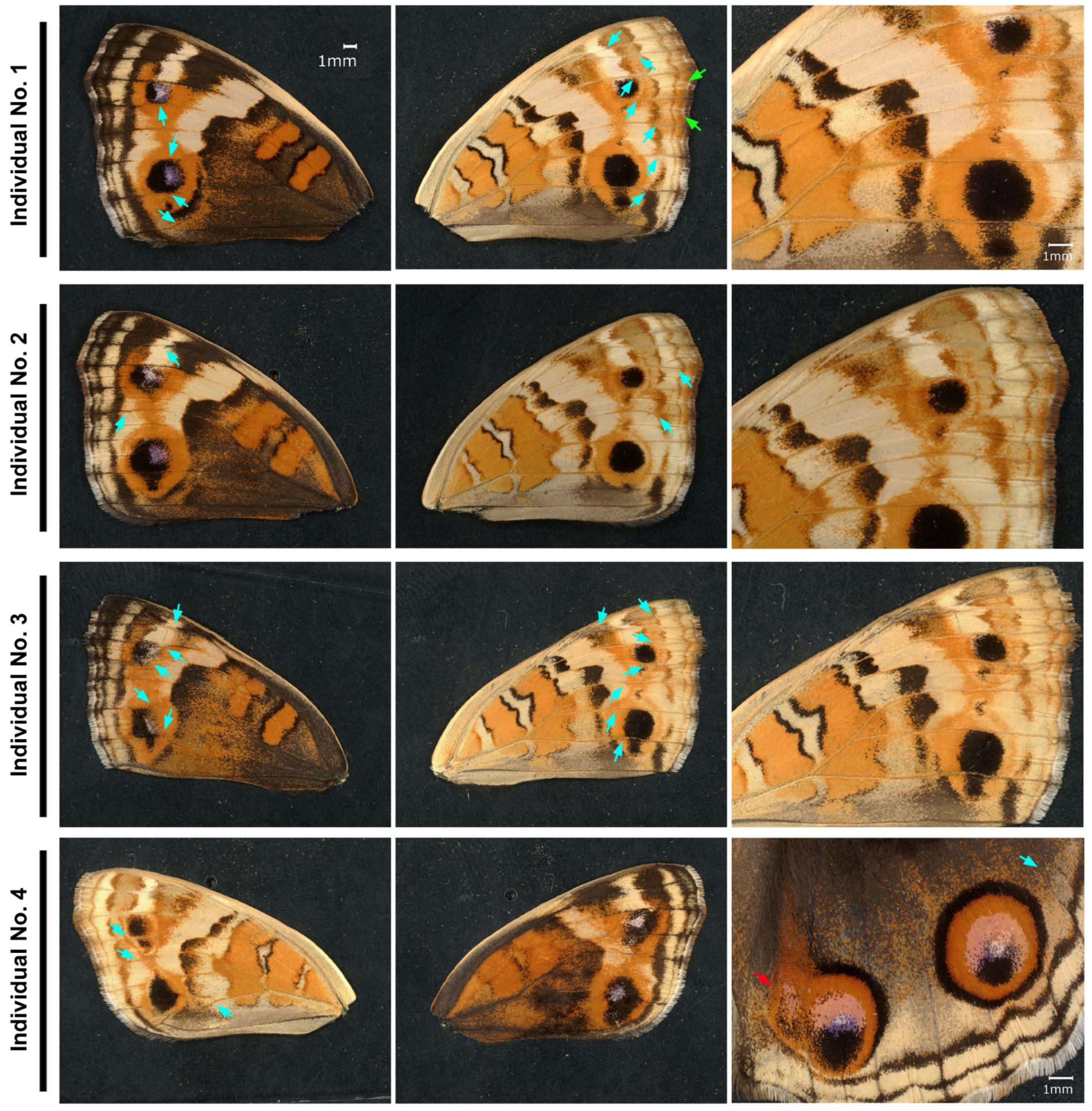 Ijms 27 01420 g009