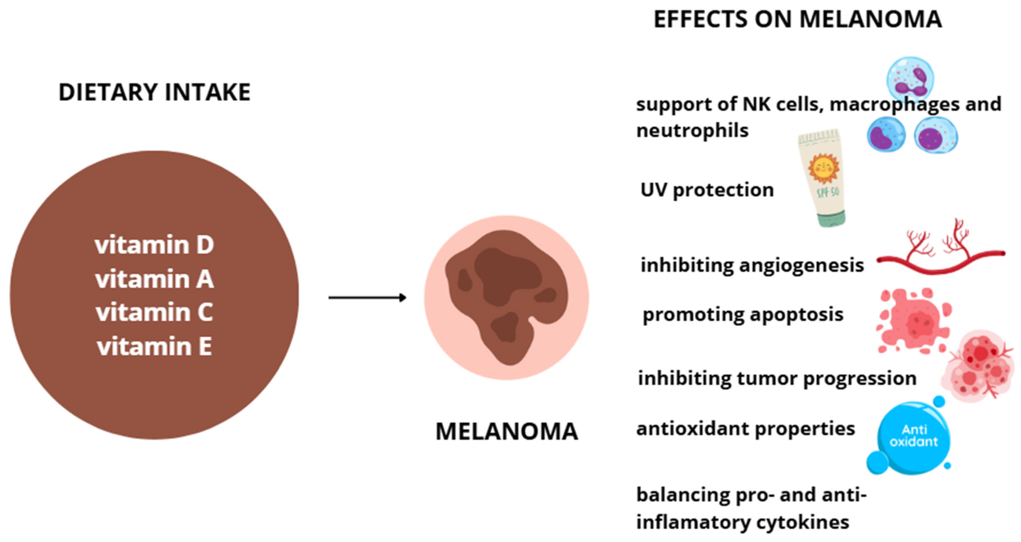 Ijms 27 01428 g002 Ijms 27 01428 g002
