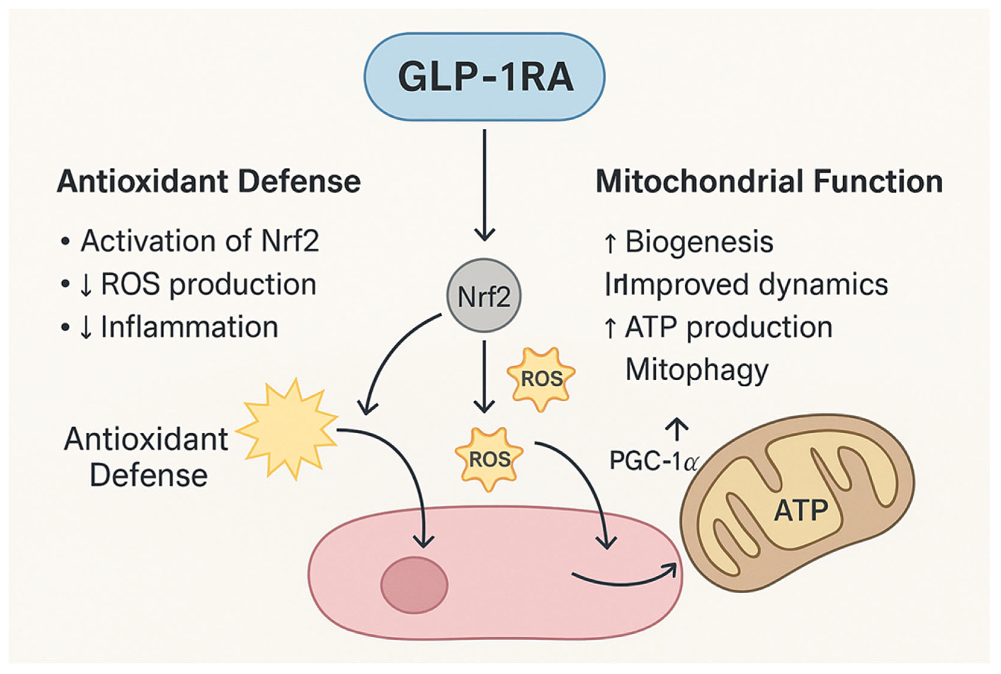 Ijms 27 01432 g002 Ijms 27 01432 g002