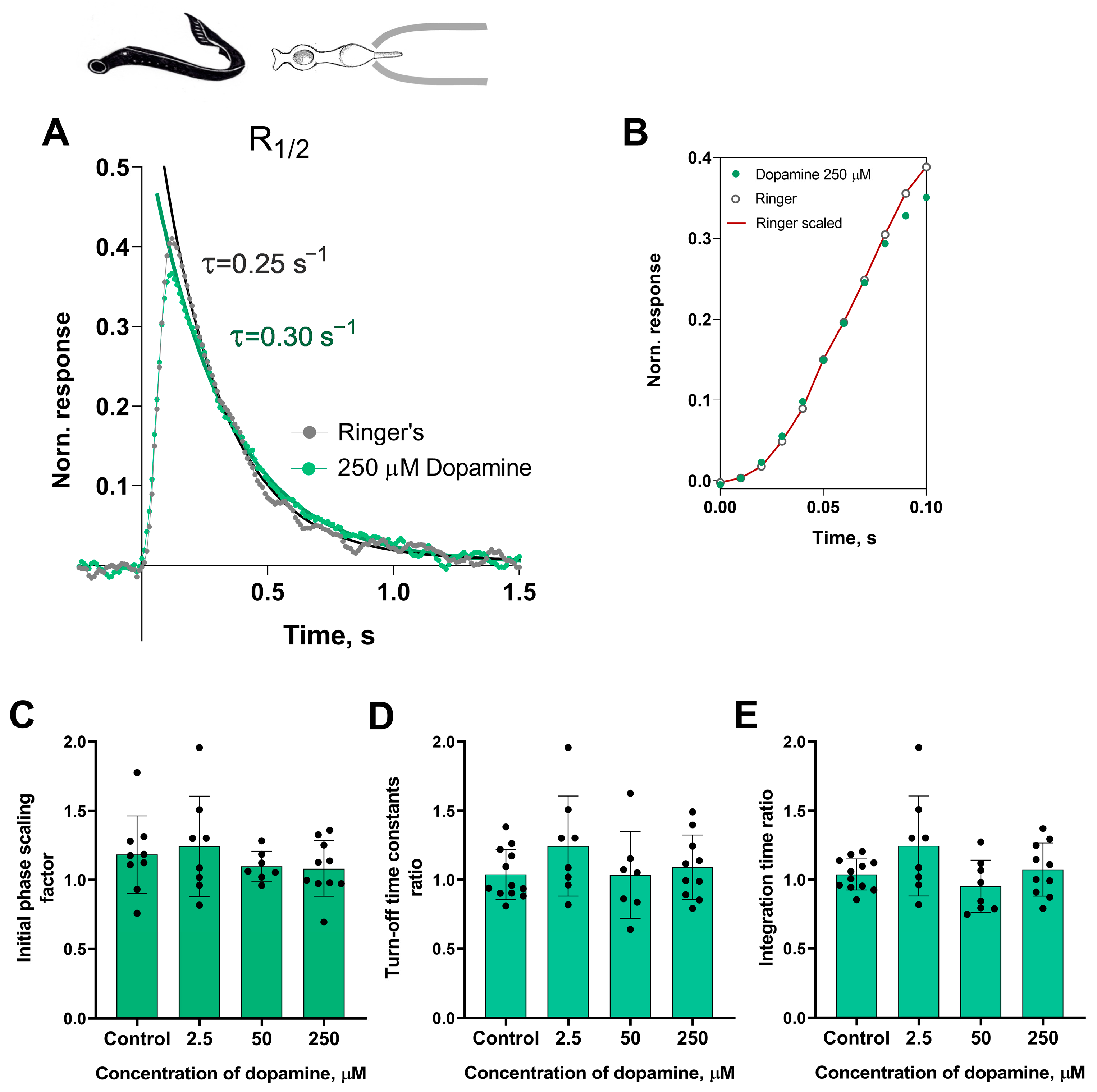 Ijms 27 01435 g002 Ijms 27 01435 g002