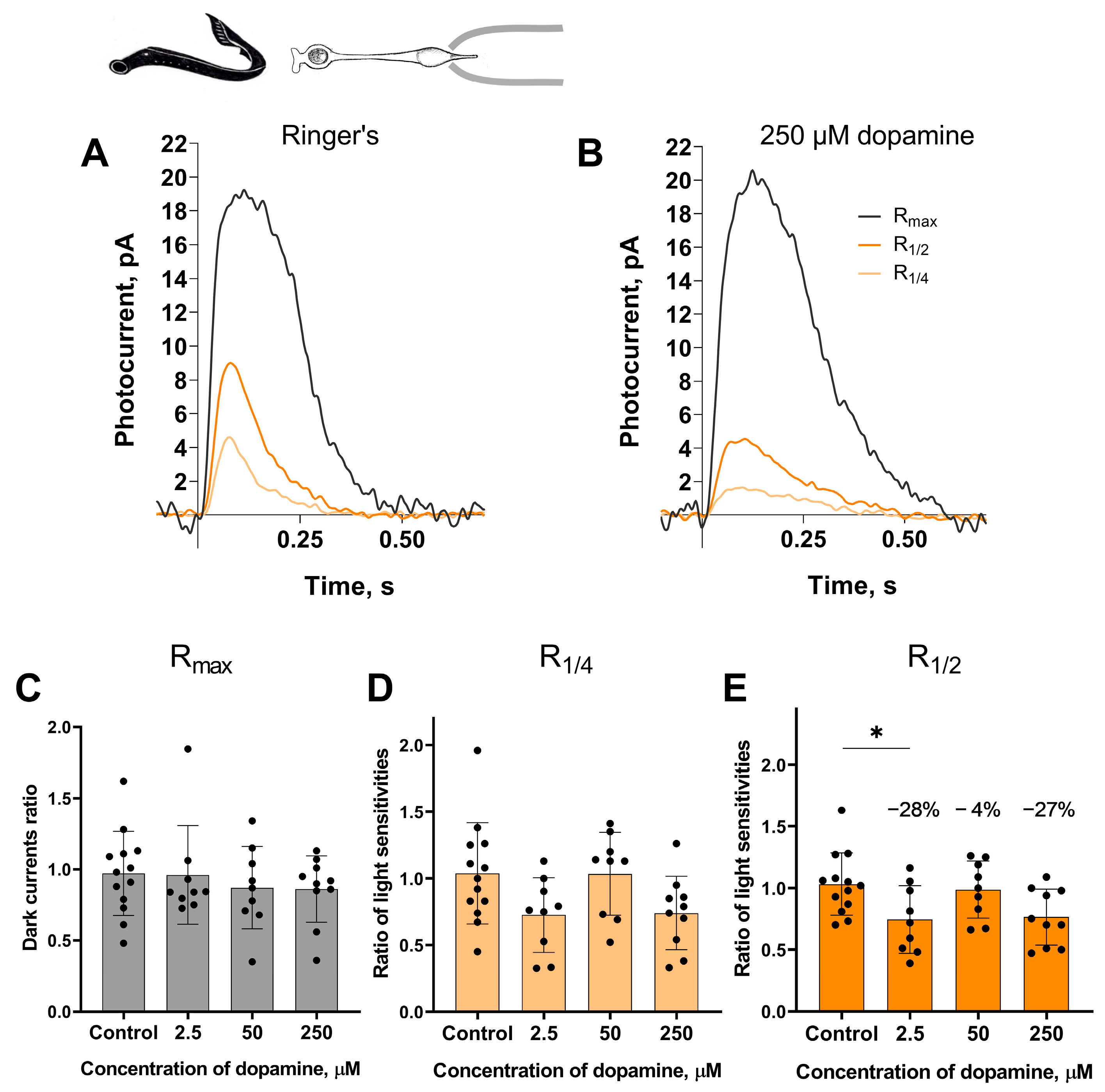 Ijms 27 01435 g003 Ijms 27 01435 g003
