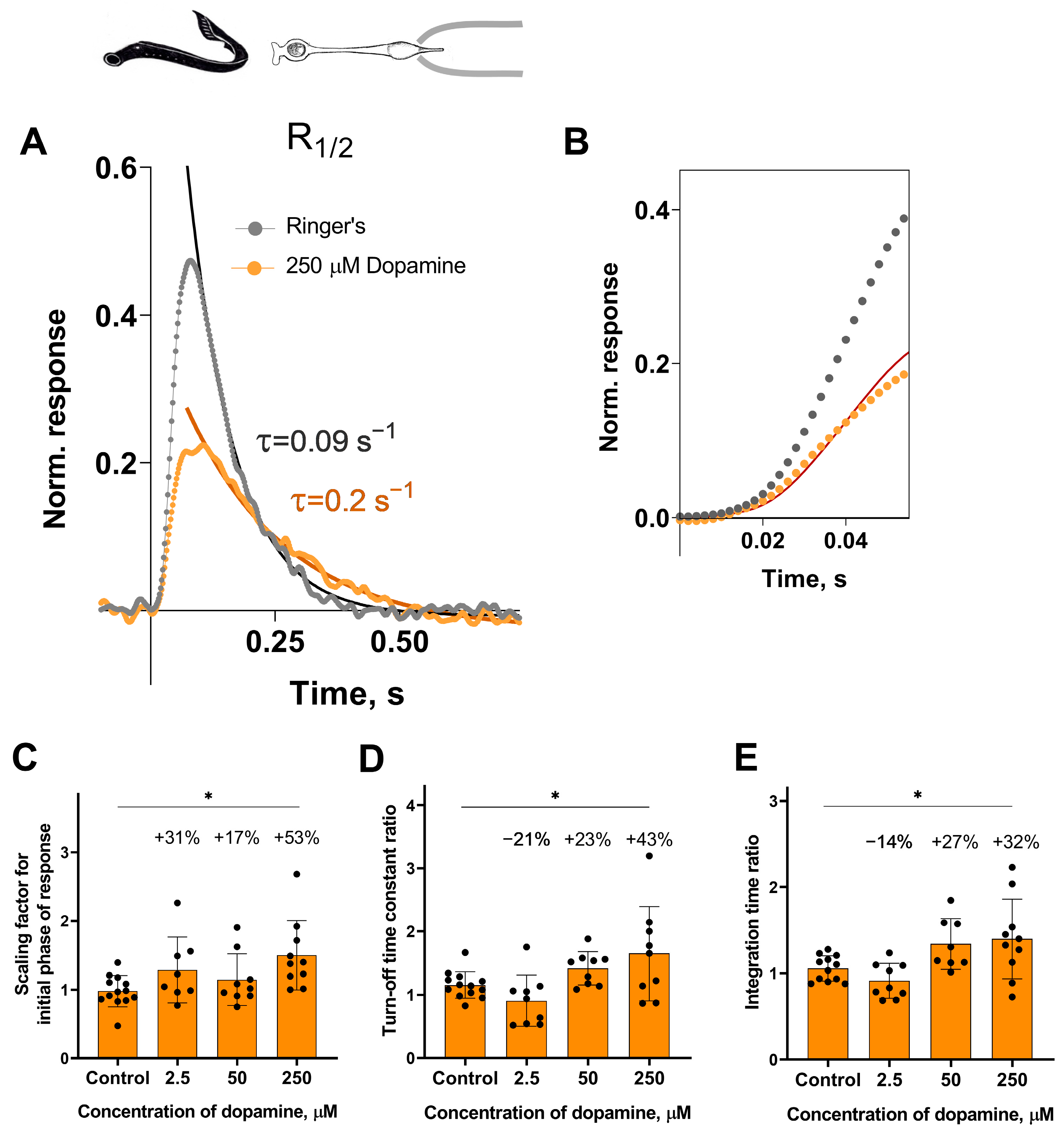Ijms 27 01435 g004 Ijms 27 01435 g004