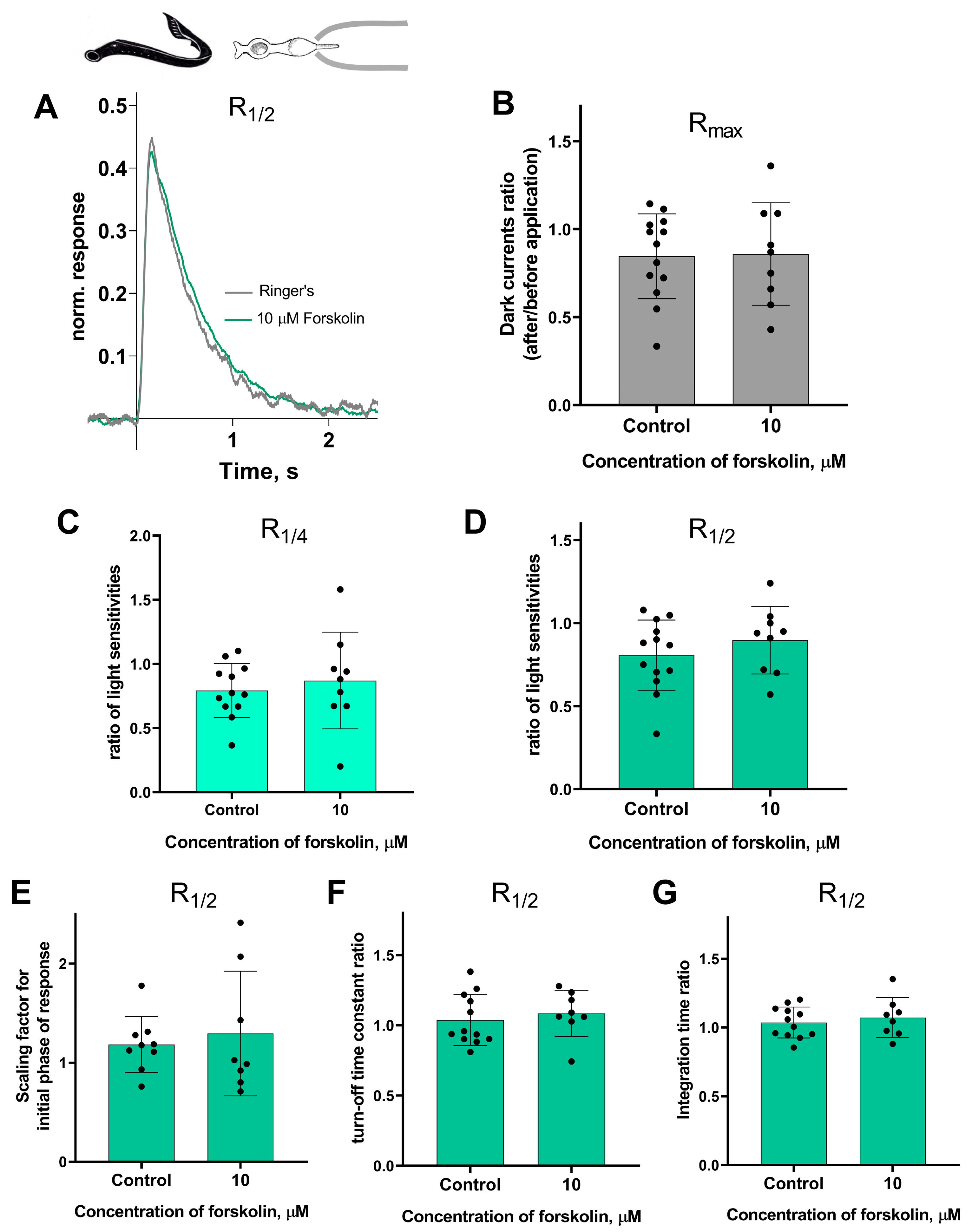 Ijms 27 01435 g005 Ijms 27 01435 g005
