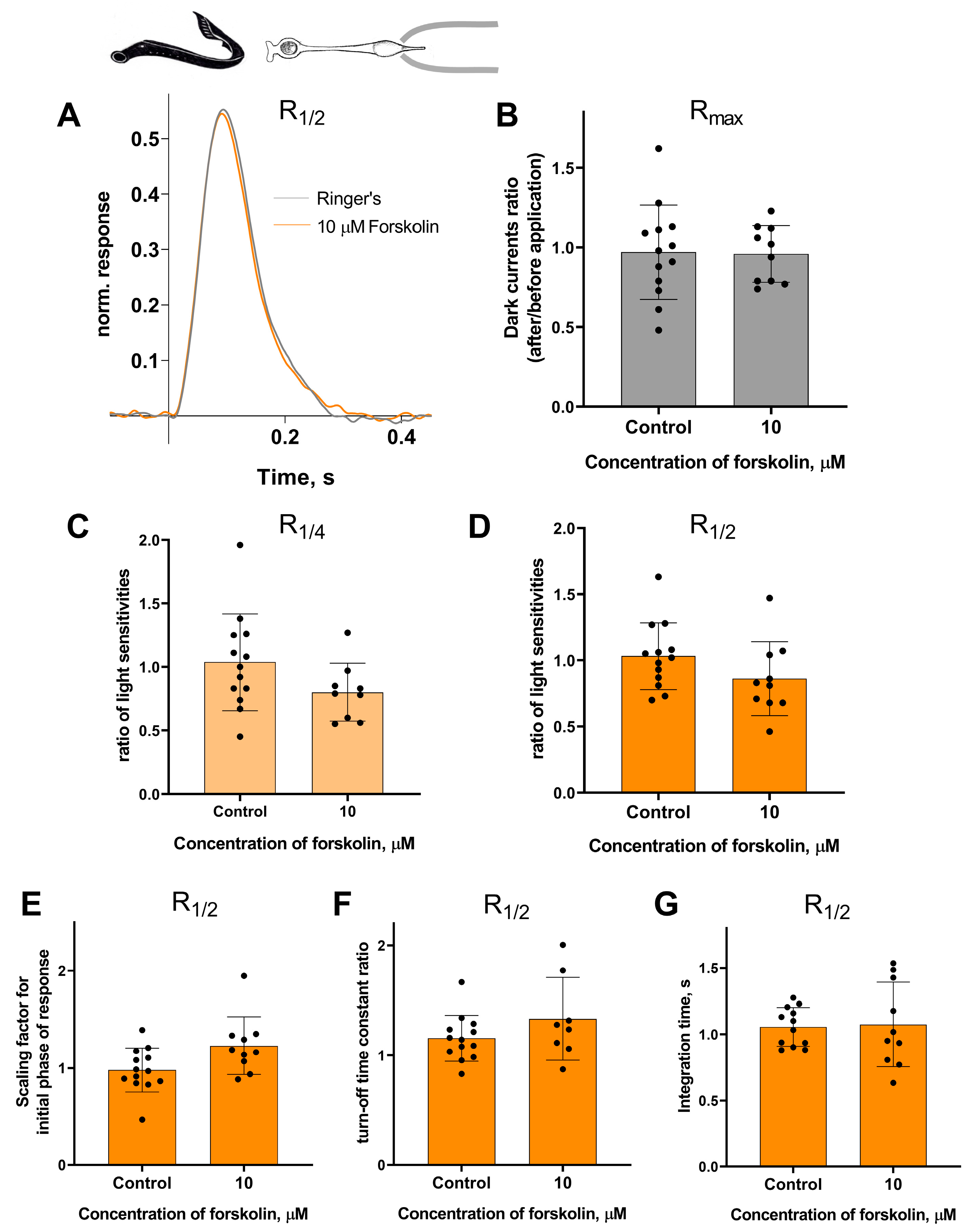 Ijms 27 01435 g006 Ijms 27 01435 g006