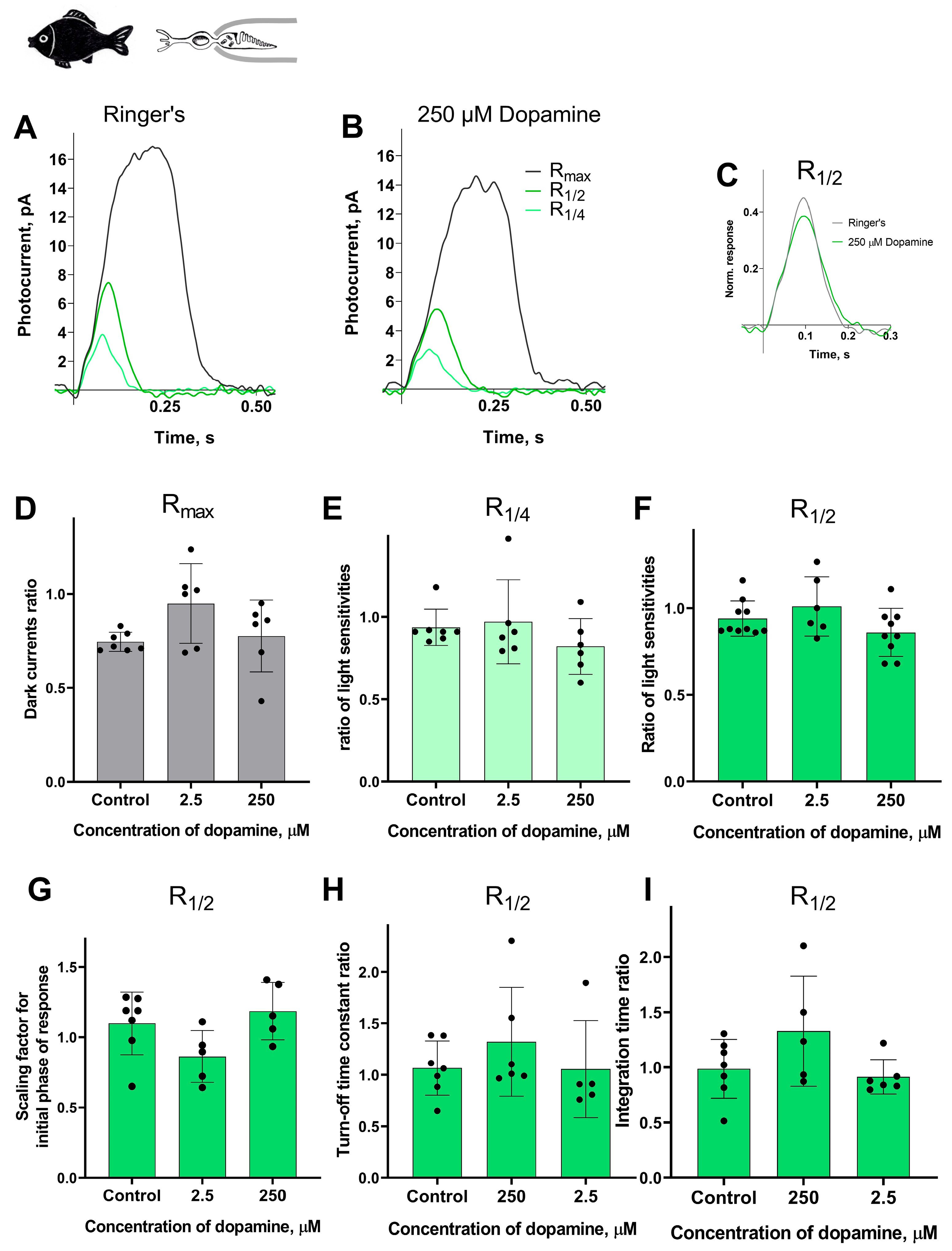 Ijms 27 01435 g007 Ijms 27 01435 g007