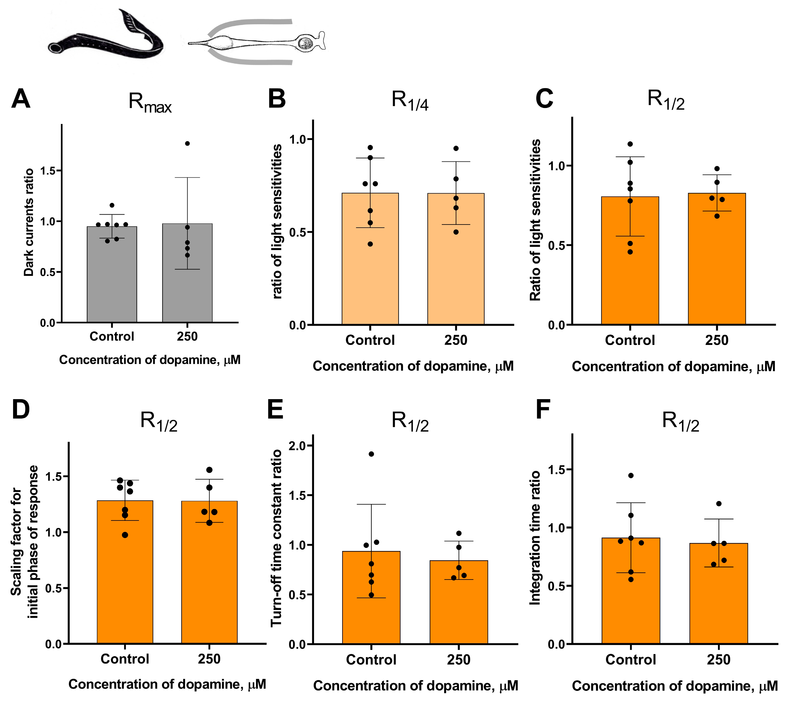 Ijms 27 01435 g008 Ijms 27 01435 g008