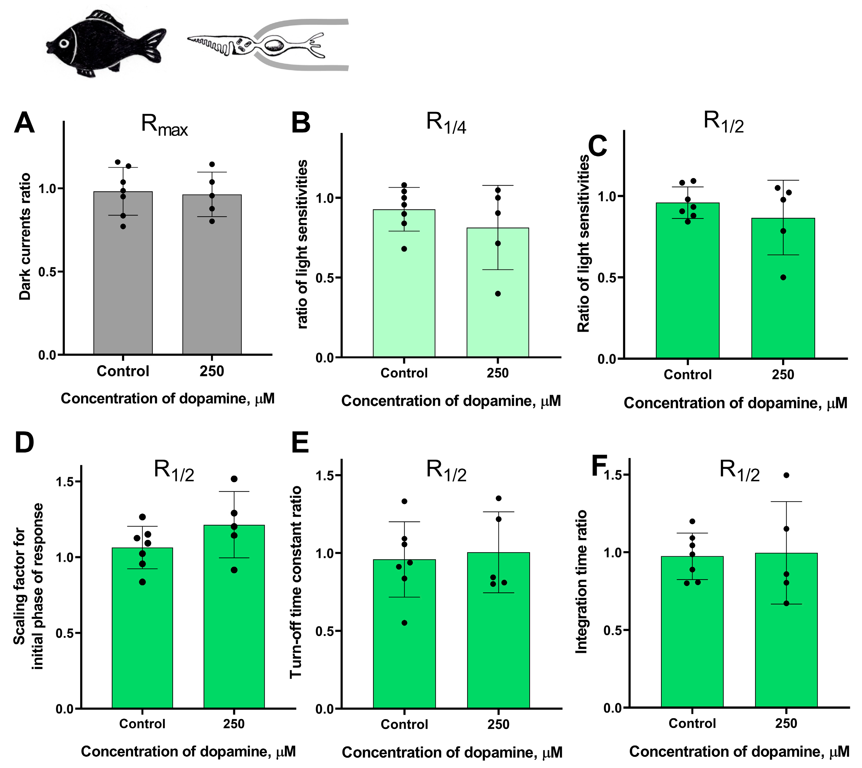 Ijms 27 01435 g009 Ijms 27 01435 g009