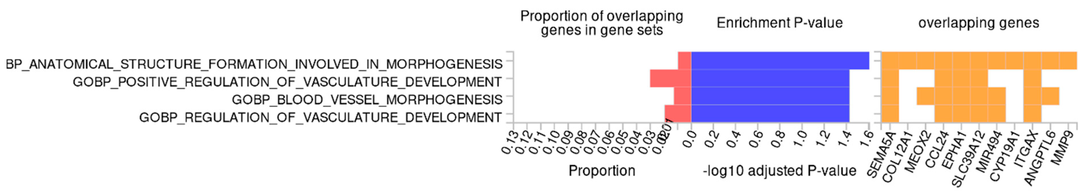 Ijms 27 01448 g004 Ijms 27 01448 g004