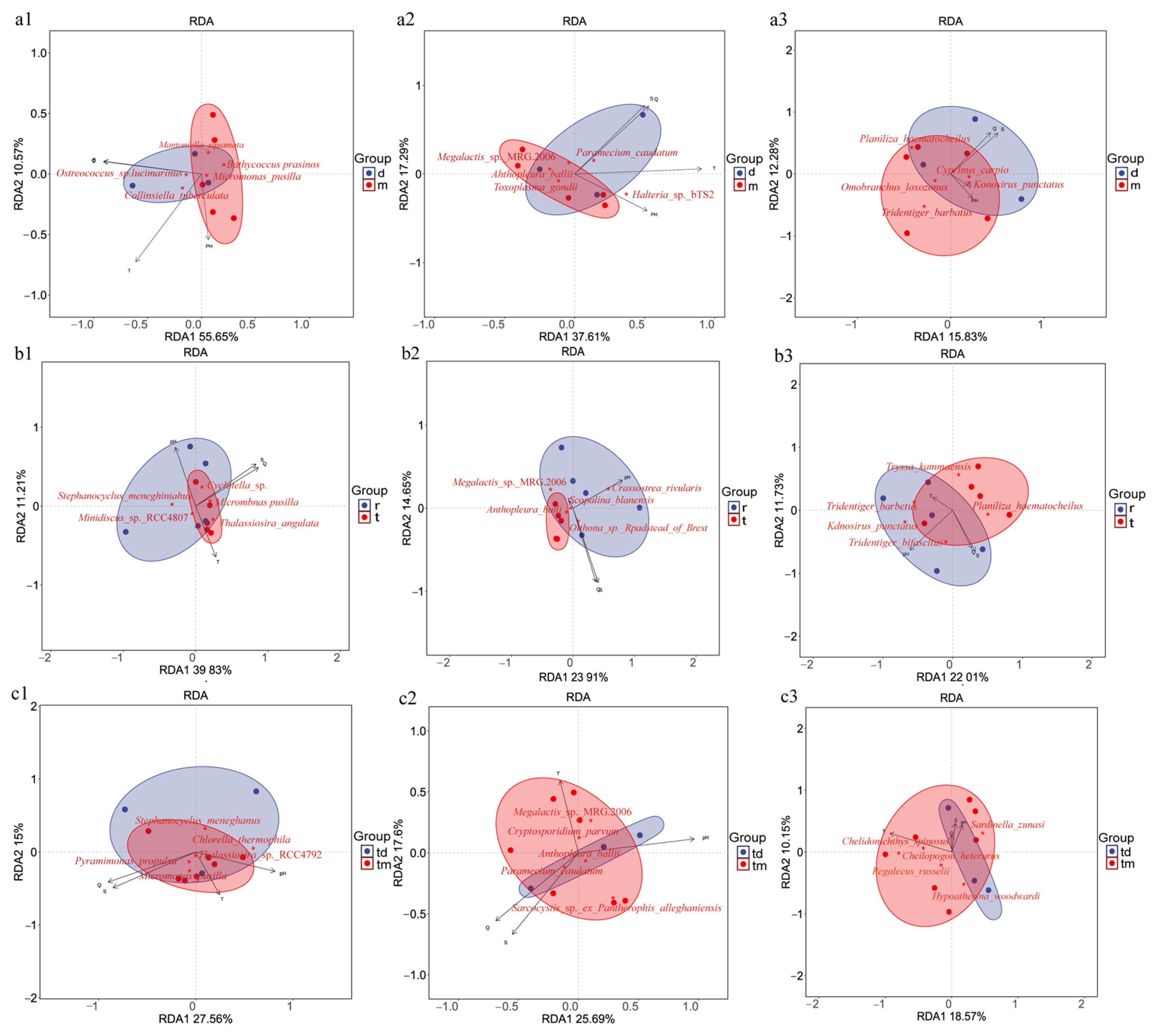 Ijms 27 01483 g009 Ijms 27 01483 g009