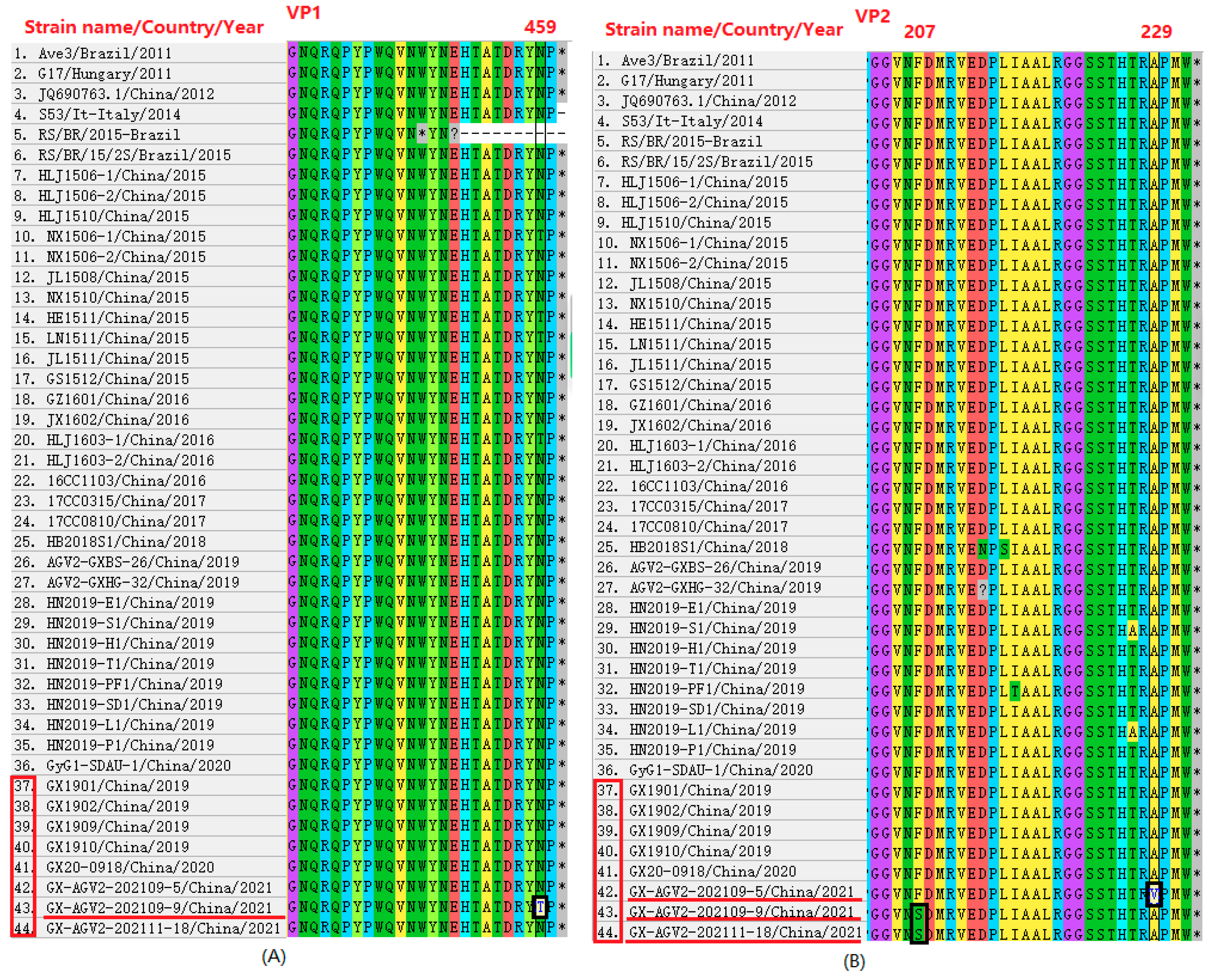 Ijms 27 01674 g003 Ijms 27 01674 g003